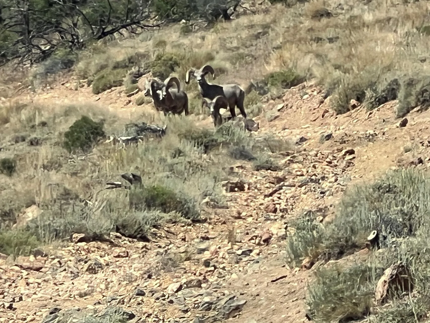 Rivian R1T R1S 2025.22 Update - Release Notes IMG_1016