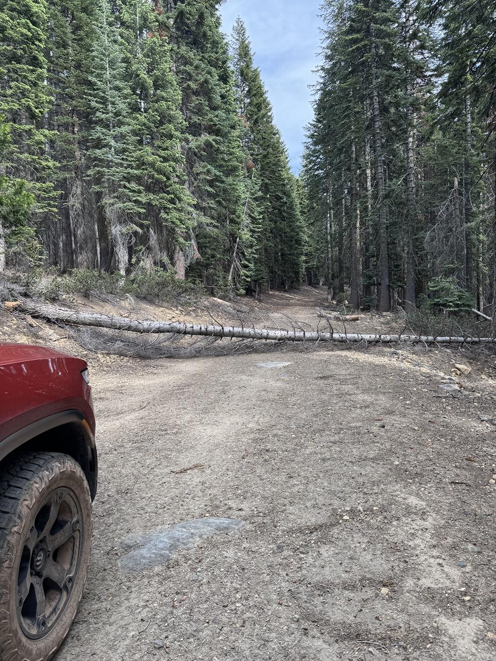 Rivian R1T R1S Recovery Gear + Bed Glider to the rescue! Blocked road