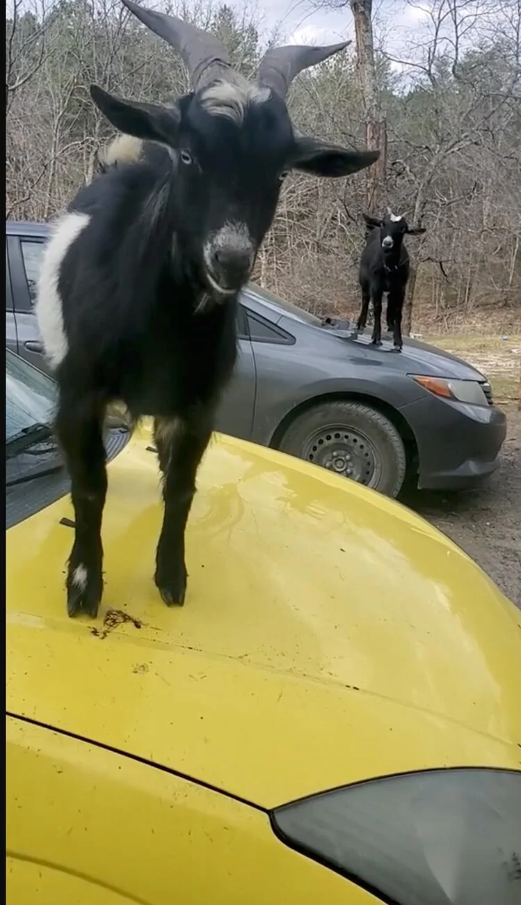 Rivian R1T R1S What do you park your Rivian next to? Screenshot 2025-07-26 at 9.38.43 PM