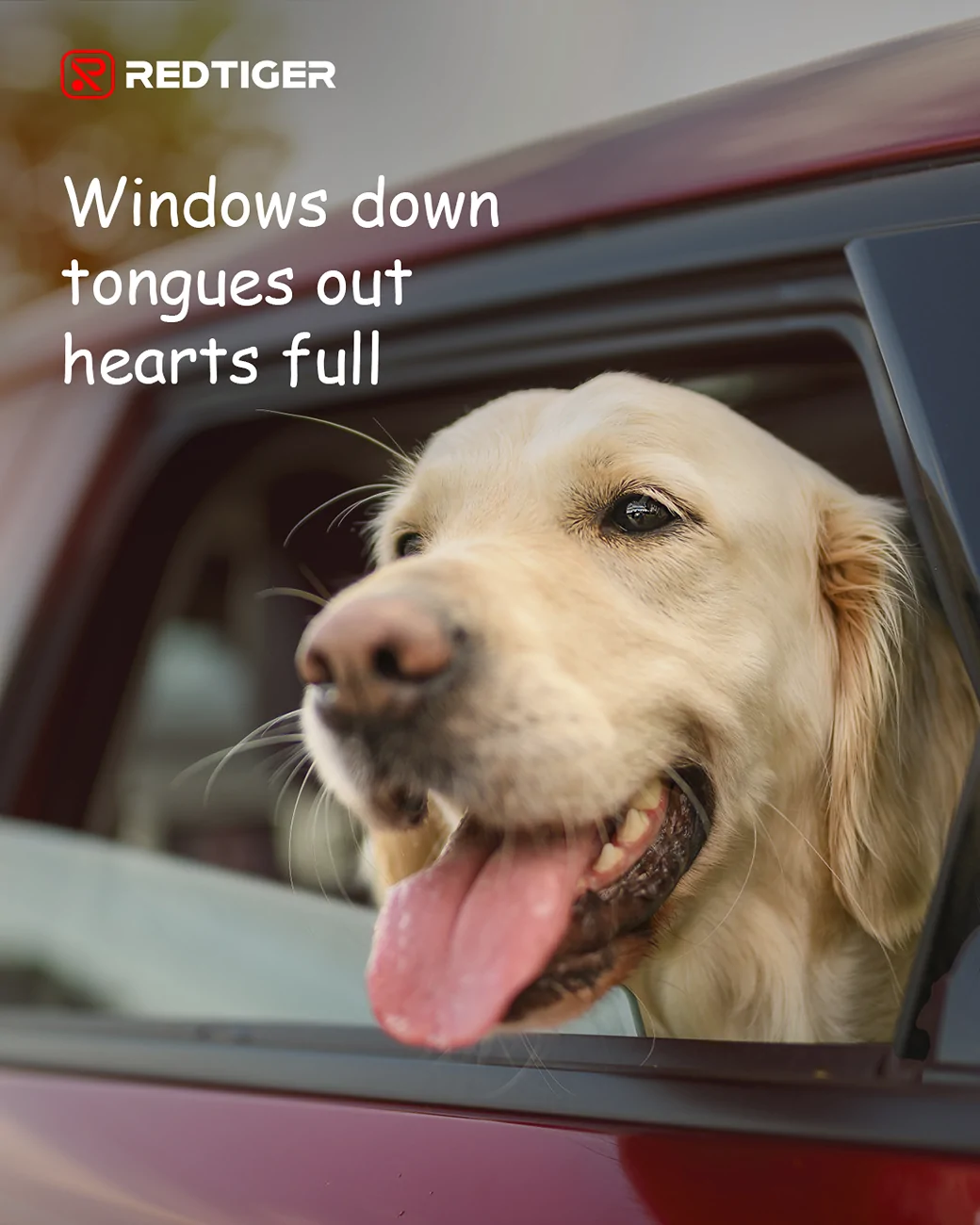Rivian R1T R1S What was your dog’s first car ride like? 20250806-102236