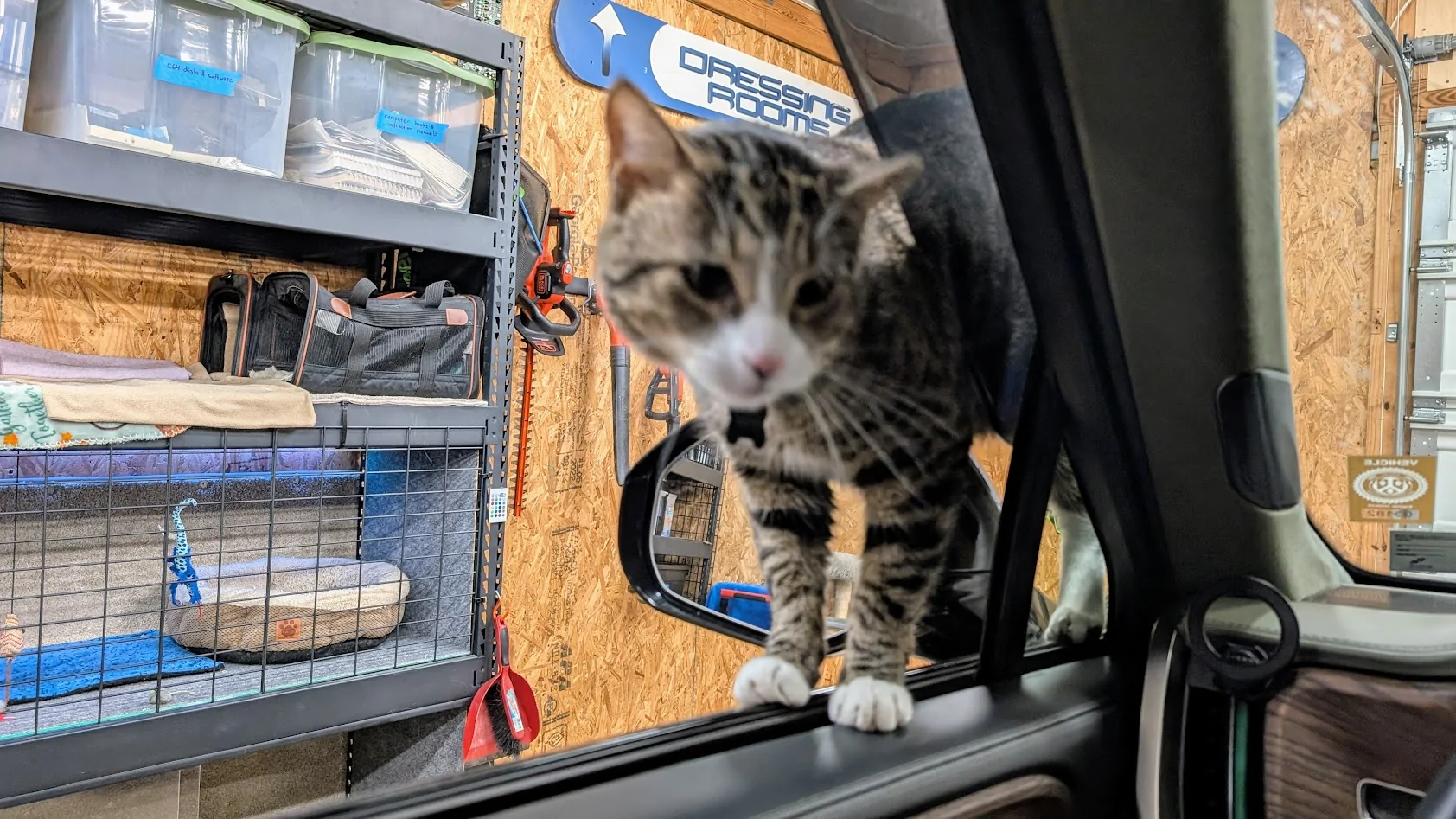 Rivian R1T R1S What dog ramp have people bought for the R1S? 1756216682941-v