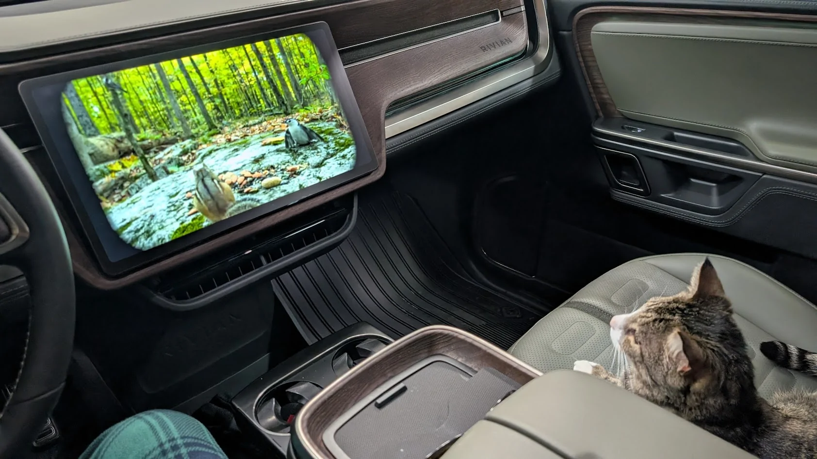 Rivian R1T R1S What dog ramp have people bought for the R1S? 1756216776286-5m