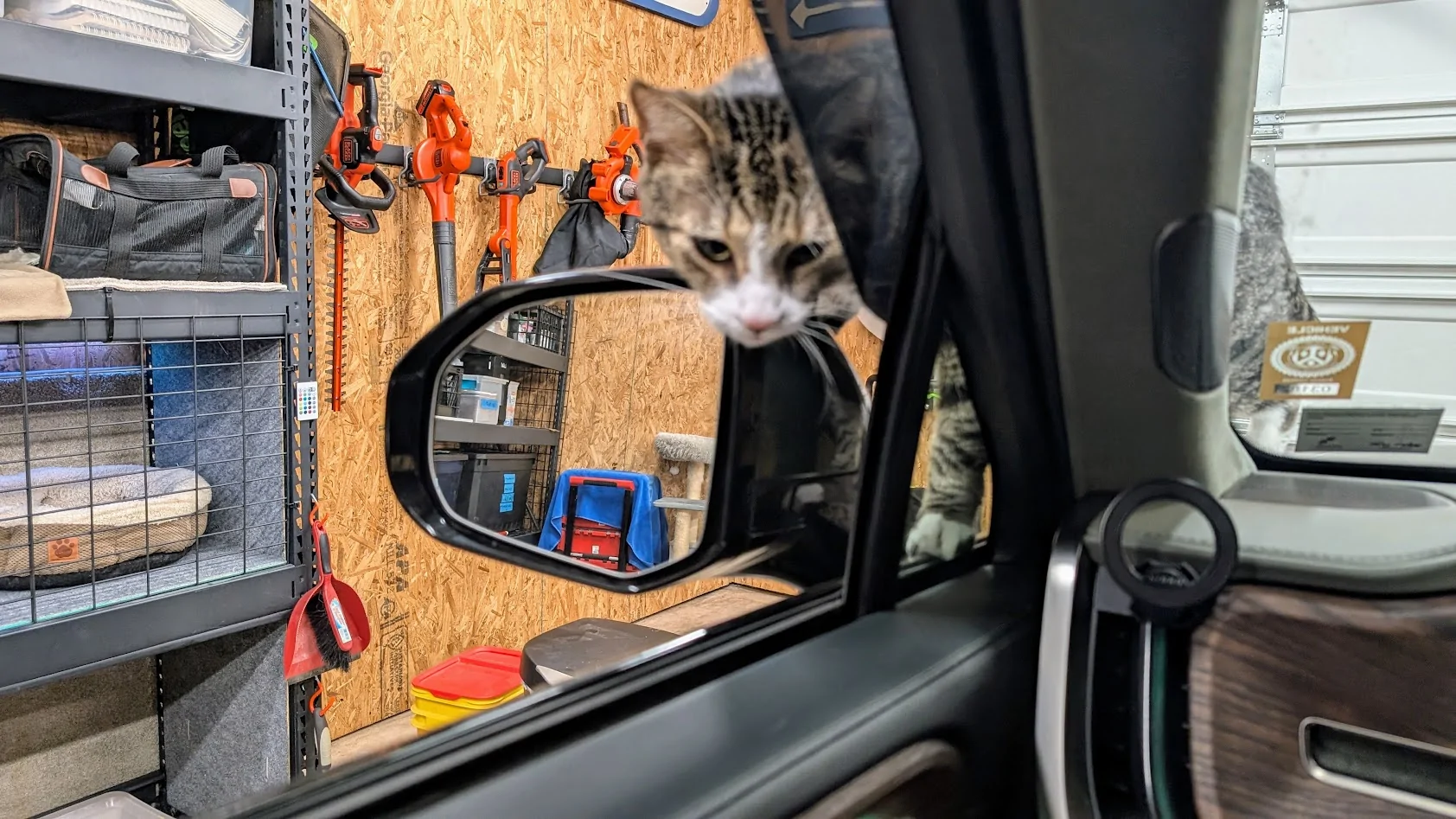 Rivian R1T R1S What dog ramp have people bought for the R1S? 1756216798194-nd