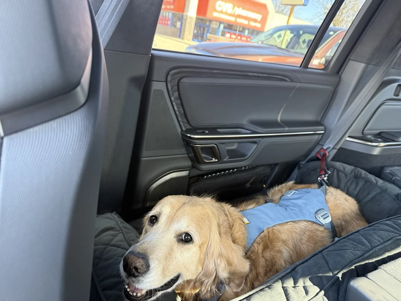 Rivian R1T R1S What dog ramp have people bought for the R1S? 2nd row dog