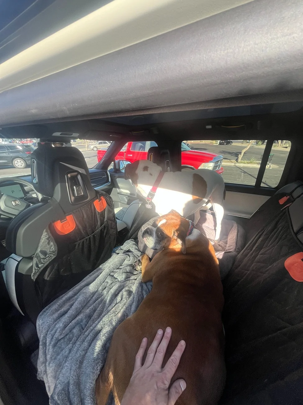 Rivian R1T R1S What was your dog’s first car ride like? IMG_1860