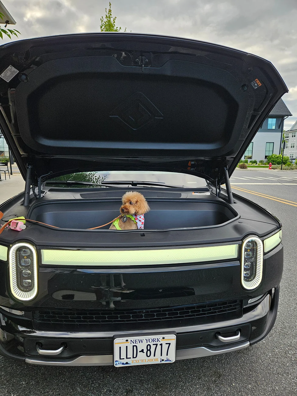 Rivian R1T R1S What was your dog’s first car ride like? 20240711_183531