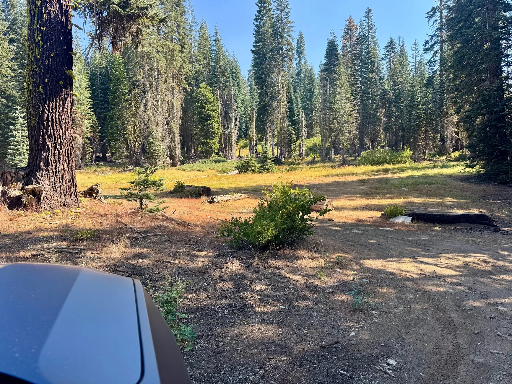 Rivian R1T R1S Off-roading at Shuteye Peak (Sierra National Forest) with our R1S IMG_4483