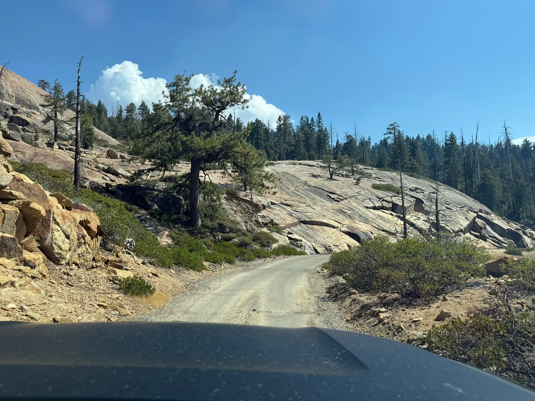Rivian R1T R1S Off-roading at Shuteye Peak (Sierra National Forest) with our R1S IMG_9070