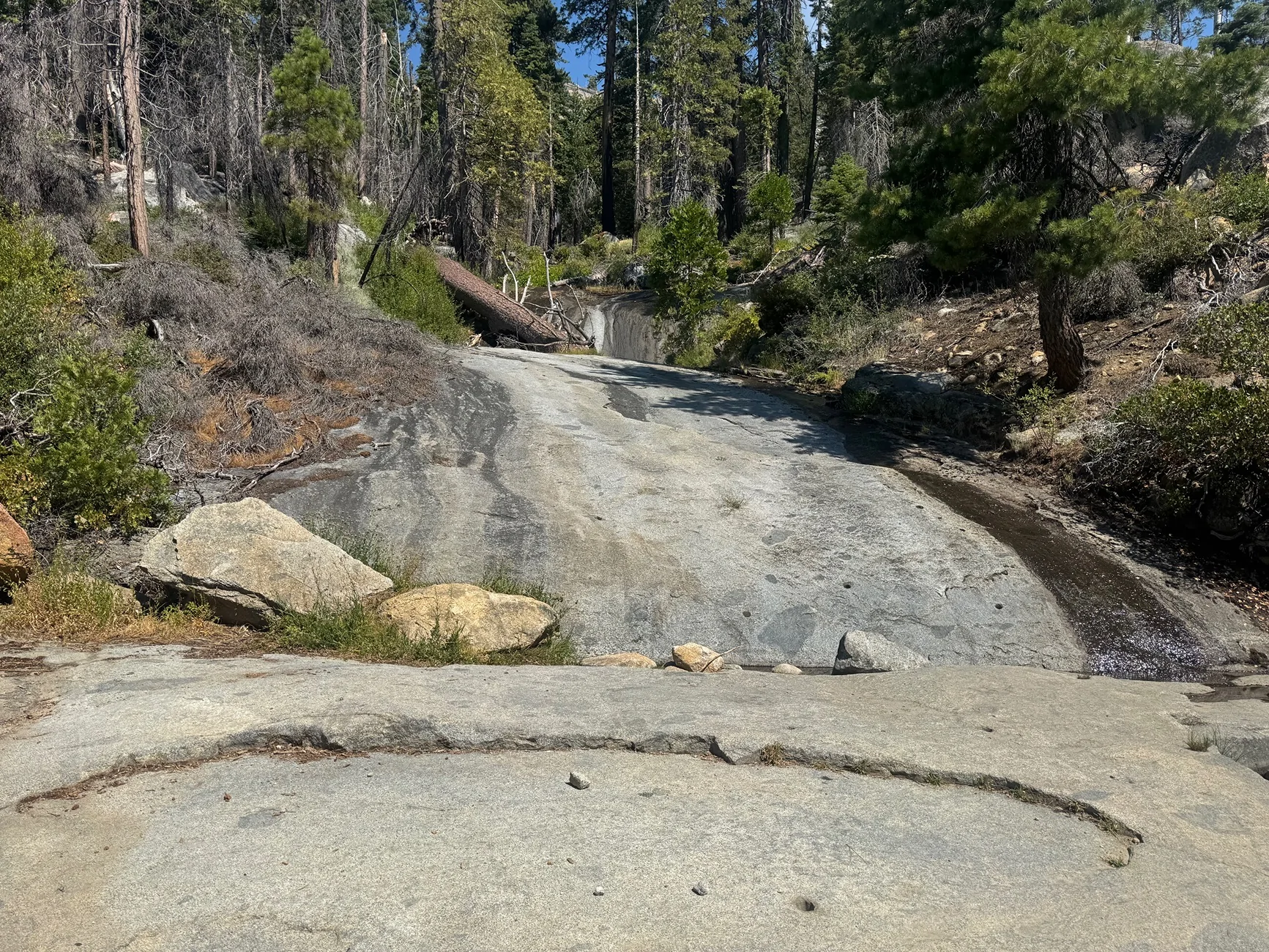 Rivian R1T R1S Off-roading at Shuteye Peak (Sierra National Forest) with our R1S IMG_4485
