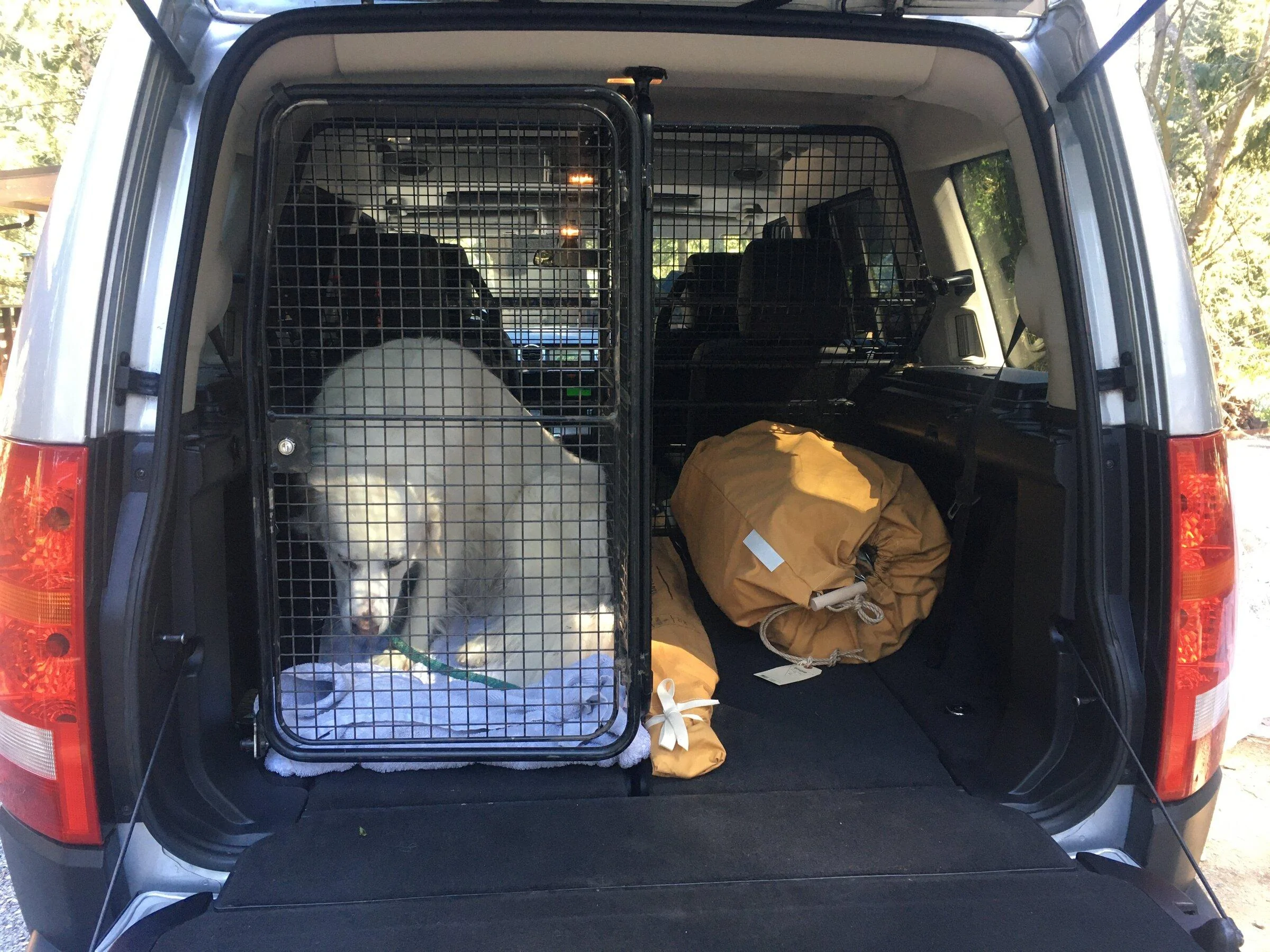 Rivian R1T R1S Dogs in back seat… B270ED57-B651-45EF-8F68-F79052184A0B