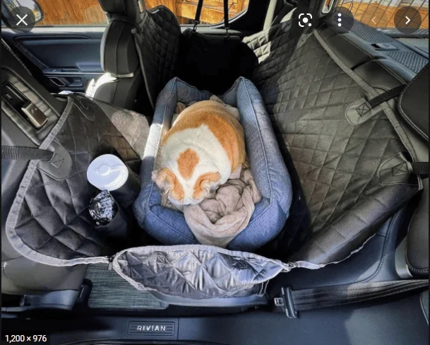 Rivian R1T R1S Dogs in back seat… 1643905923919