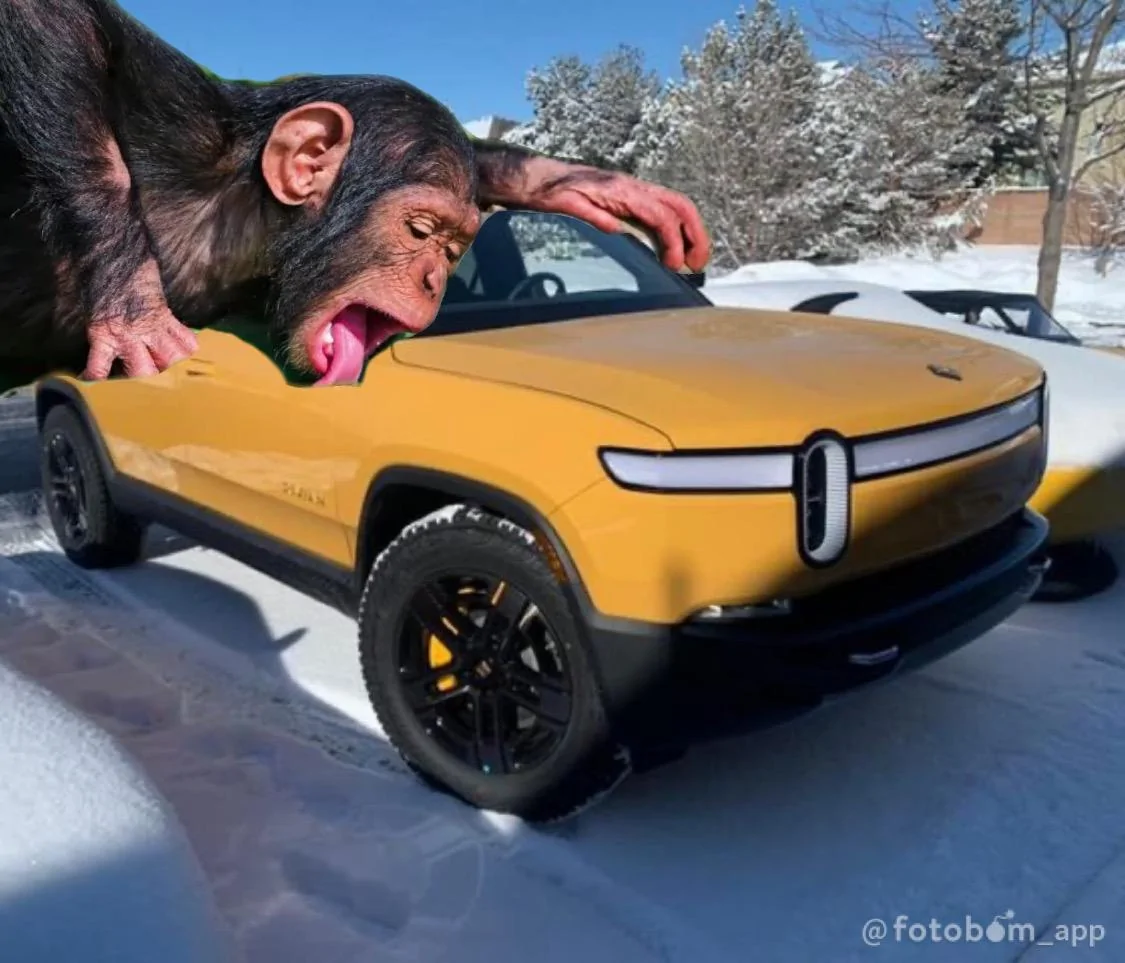 Rivian R1T R1S Real Rivian Photos & Videos 58382019-CD7D-4B74-9786-39DC7BF10B75