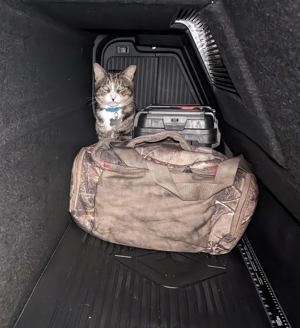 Rivian R1T R1S Does Your Pet Ride Up Front, or Claim the Gear Tunnel? 🐾 IMG_2602