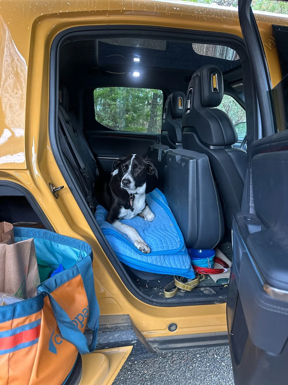 Rivian R1T R1S Does Your Pet Ride Up Front, or Claim the Gear Tunnel? 🐾 IMG_8897
