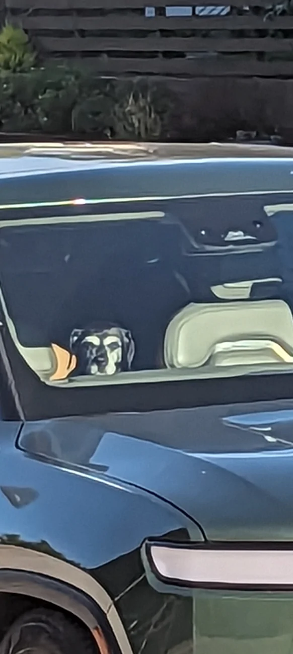 Rivian R1T R1S Does Your Pet Ride Up Front, or Claim the Gear Tunnel? 🐾 1000000945