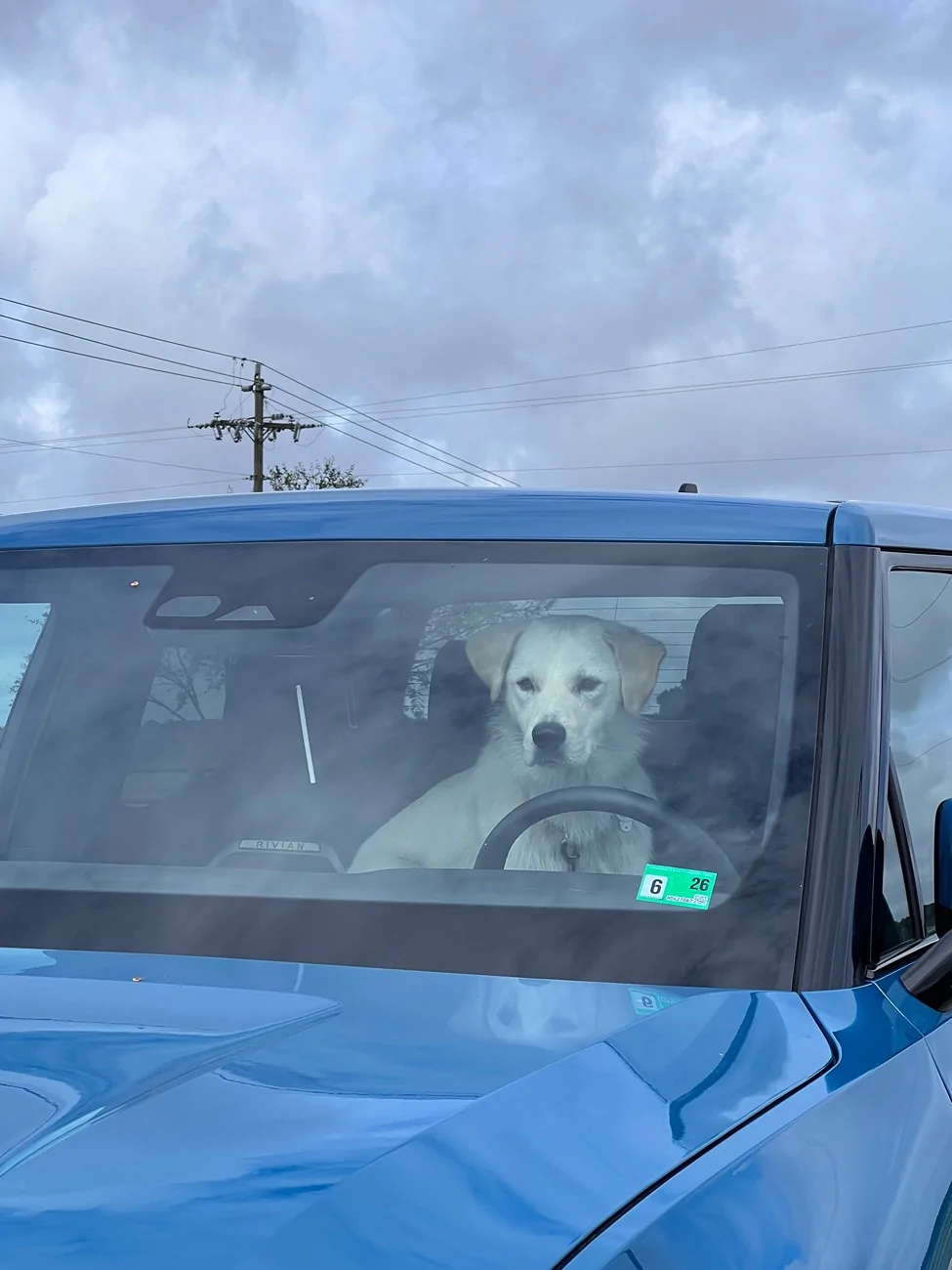Rivian R1T R1S Does Your Pet Ride Up Front, or Claim the Gear Tunnel? 🐾 IMG_9855