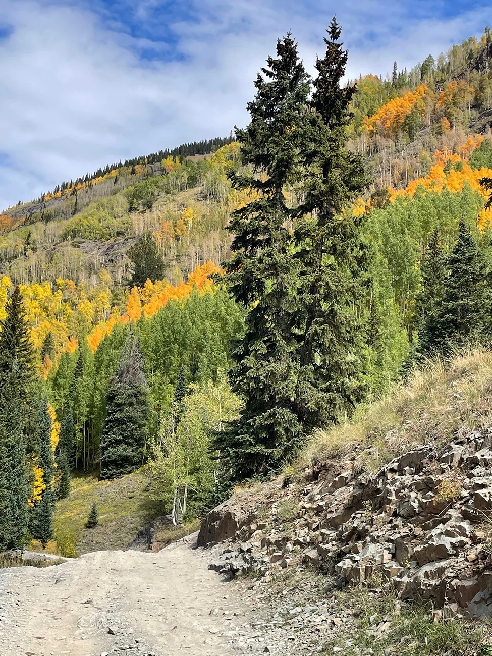 Rivian R1T R1S Mineral Creek Trail - Ouray, CO 9/26 IMG_4920