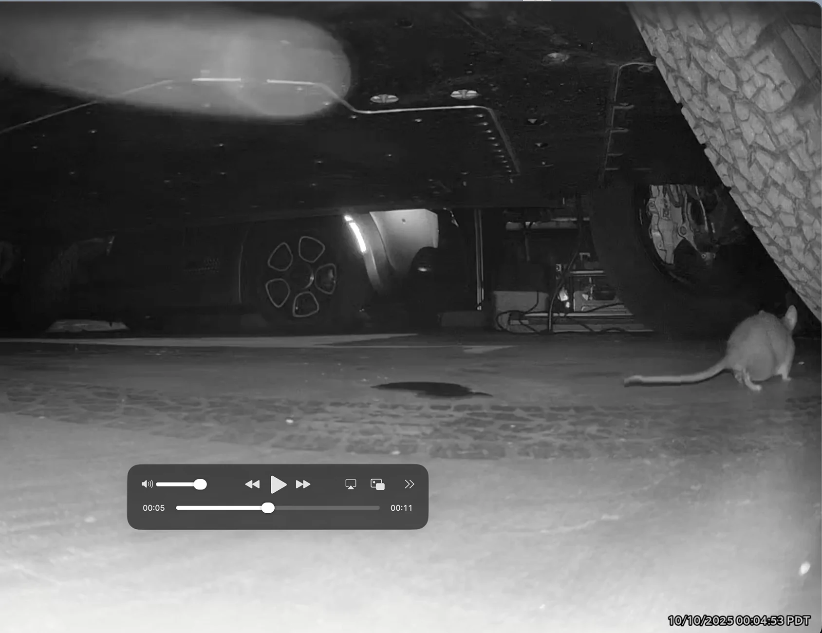 Rivian R1T R1S Rodent attack...now what? Screenshot 2025-10-10 at 9.21.07 AM