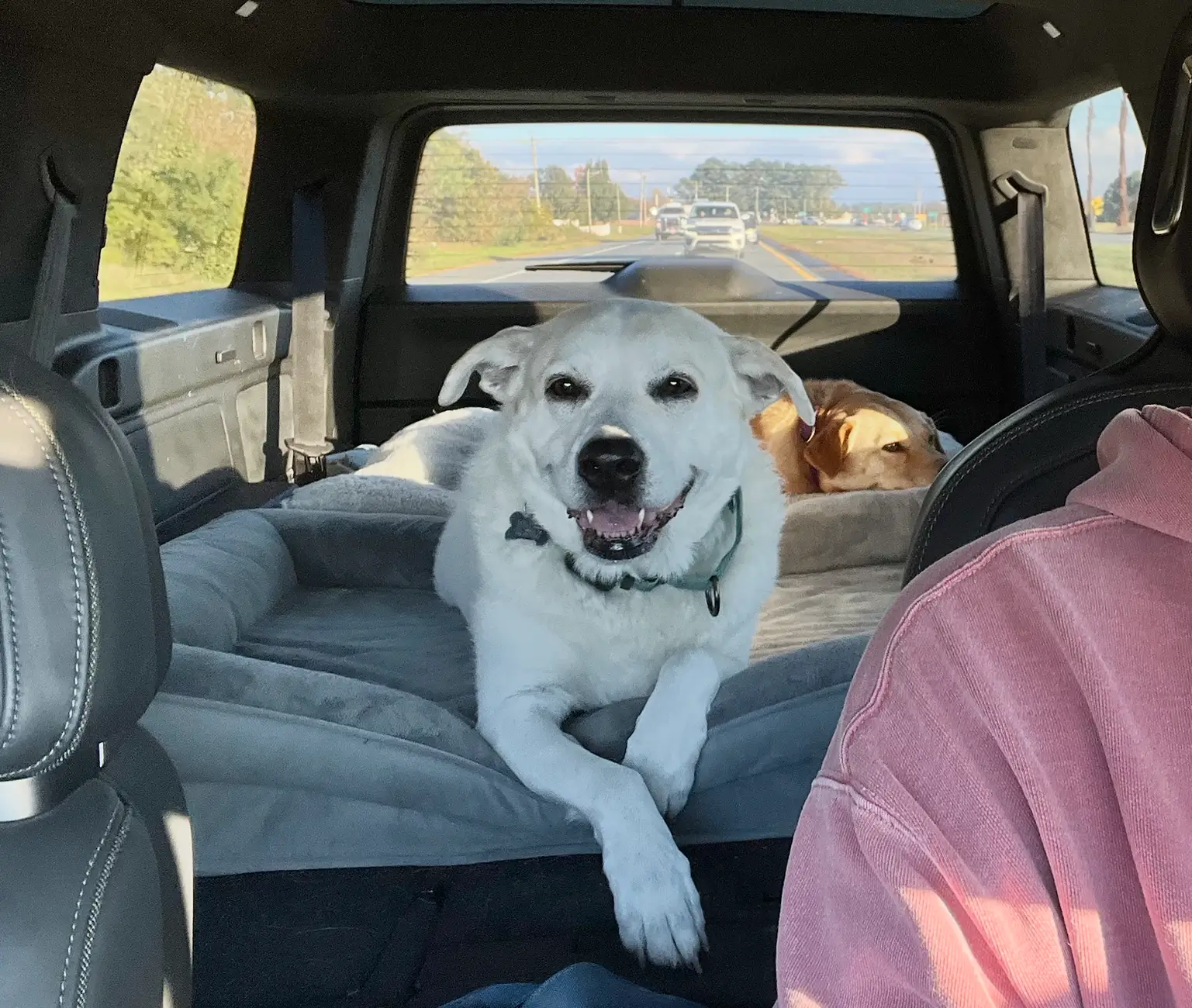 Rivian R1T R1S Attention R1T Dog Owners: I May Have Created the Perfect Dog Set-Up for the Back Seat (with caveats) 1763658319771-mk