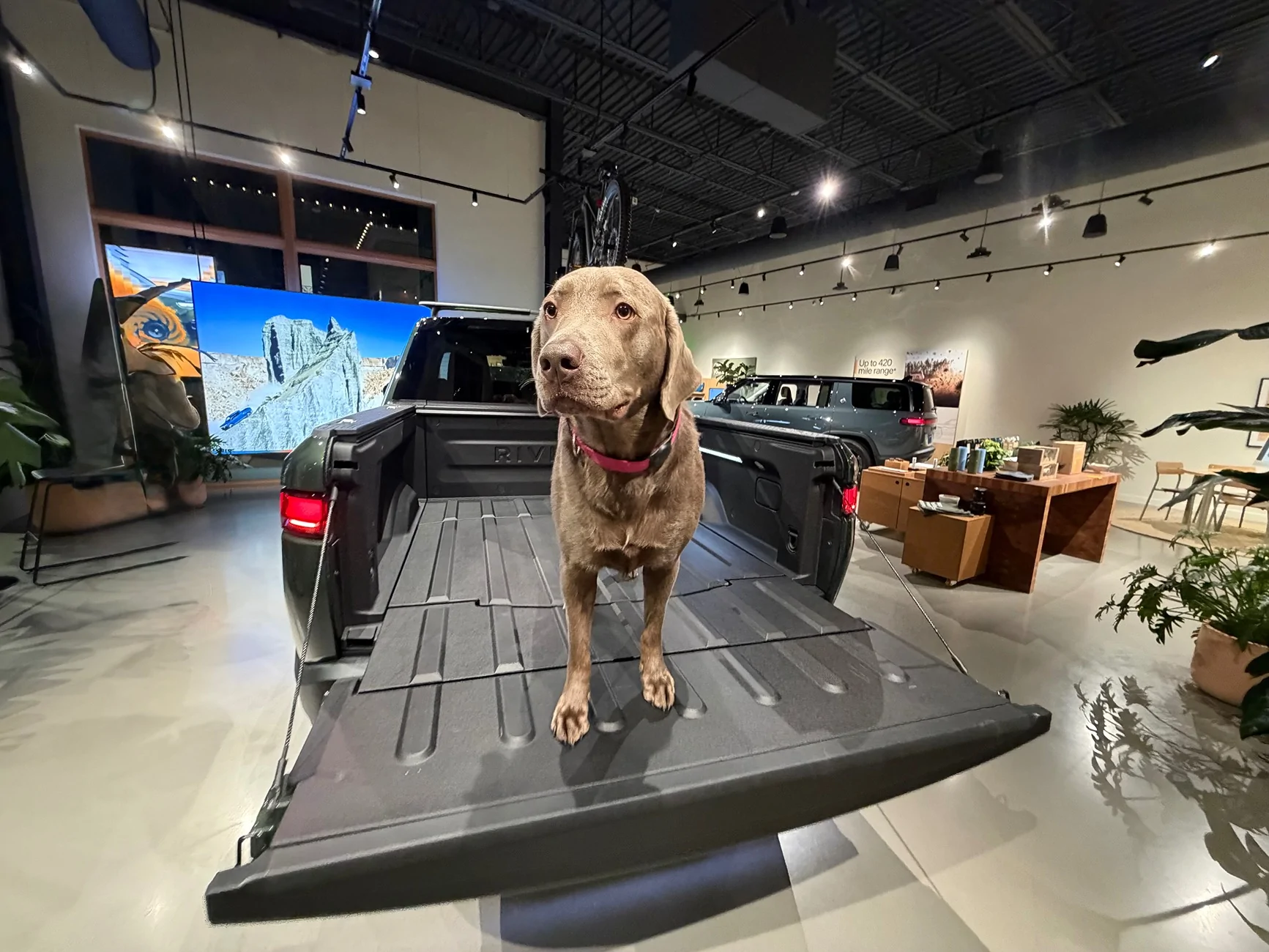 Rivian R1T R1S Dog Platform, Ramp or Stairs IMG_0483