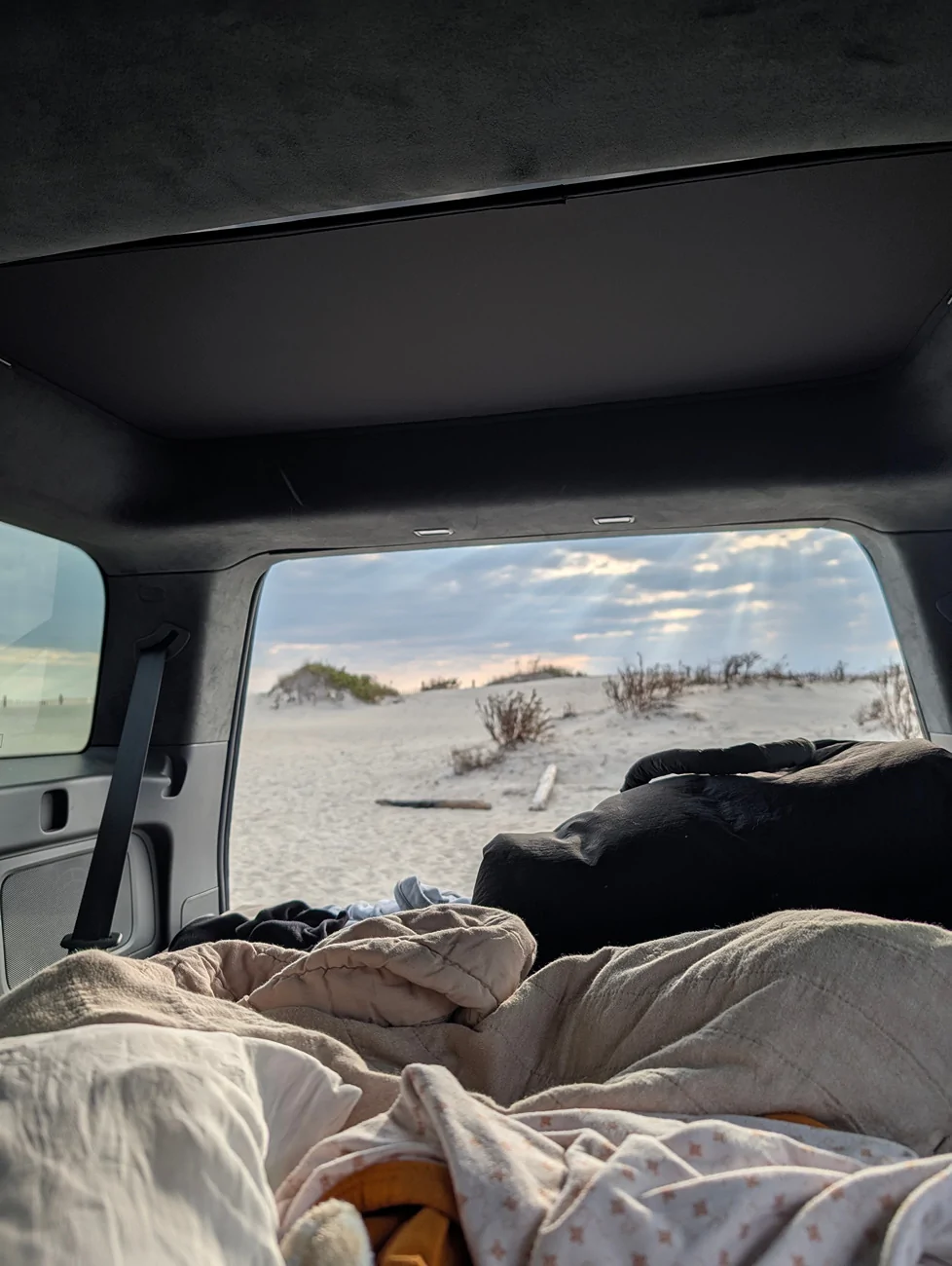 Rivian R1T R1S My First time Camping(ever) in my Rivian with the Mid-Atlantic Club on Assateage Island PXL_20251115_133758377