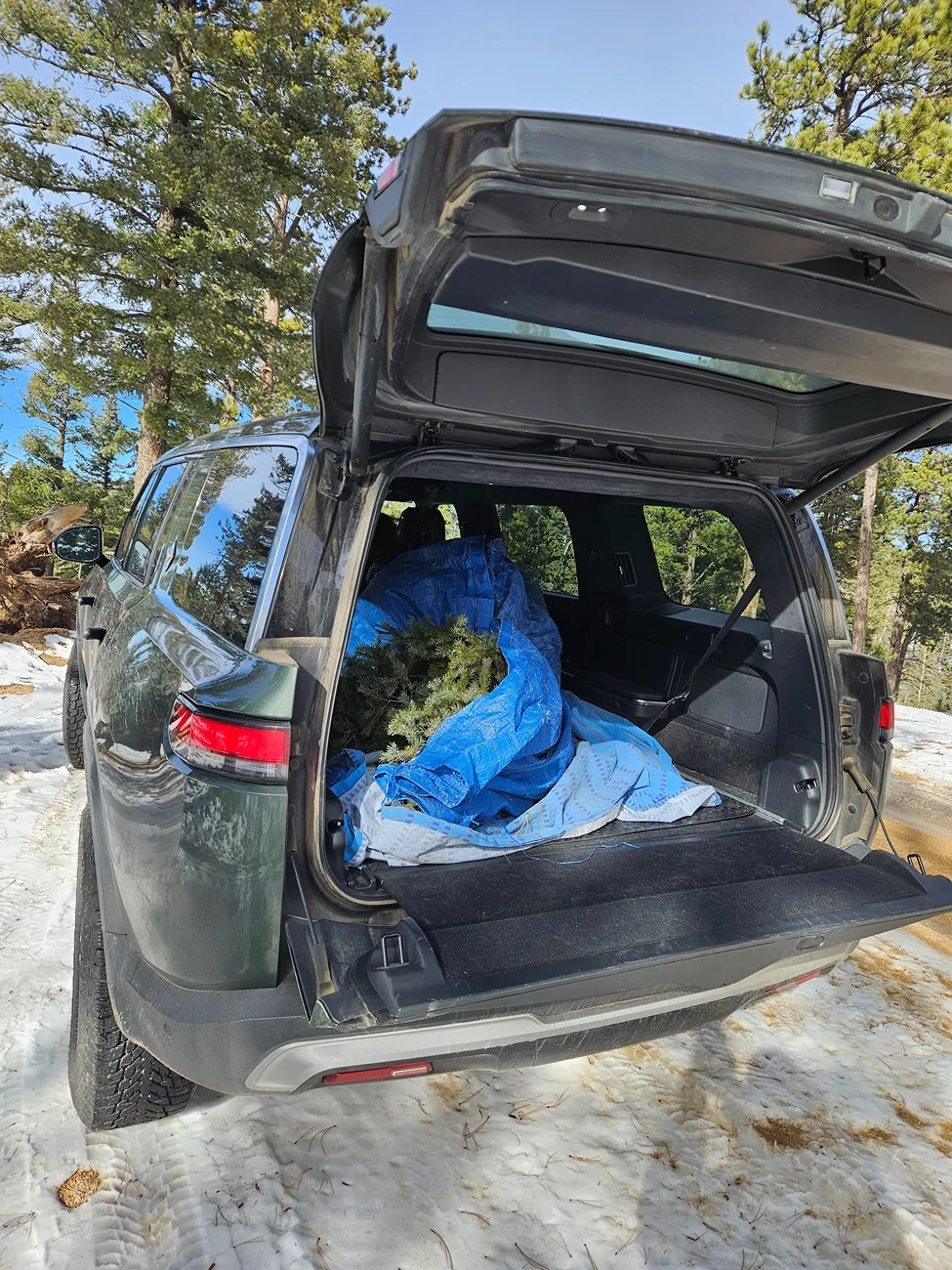 Rivian R1T R1S Colorado Checking In 1000009316