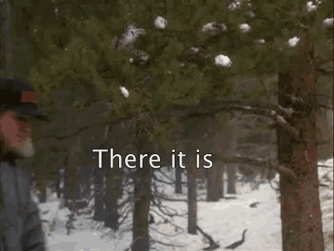 Rivian R1T R1S Colorado Checking In tree-cutting-cutting-tree