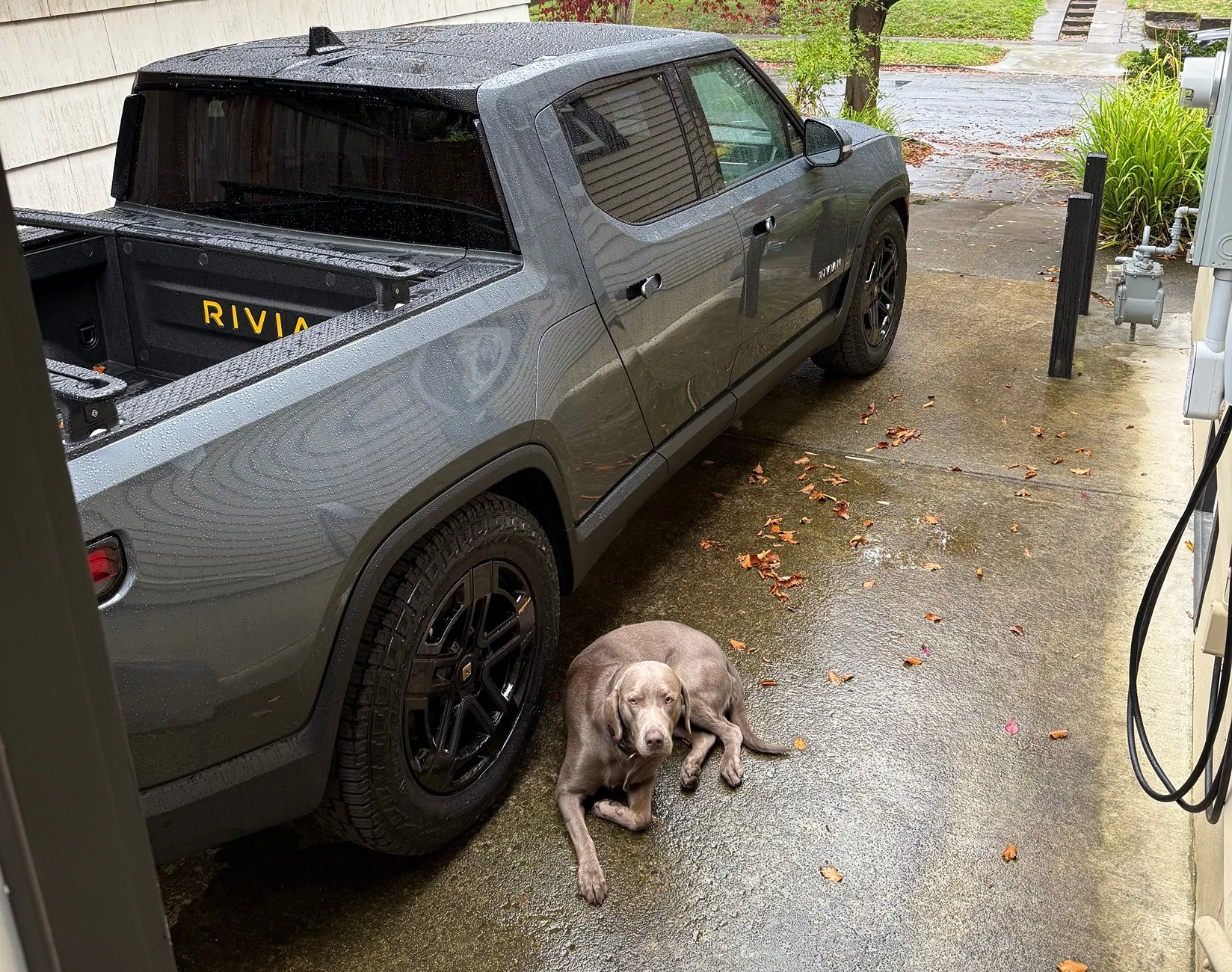 Rivian R1T R1S Attention R1T Dog Owners: I May Have Created the Perfect Dog Set-Up for the Back Seat (with caveats) IMG_0368