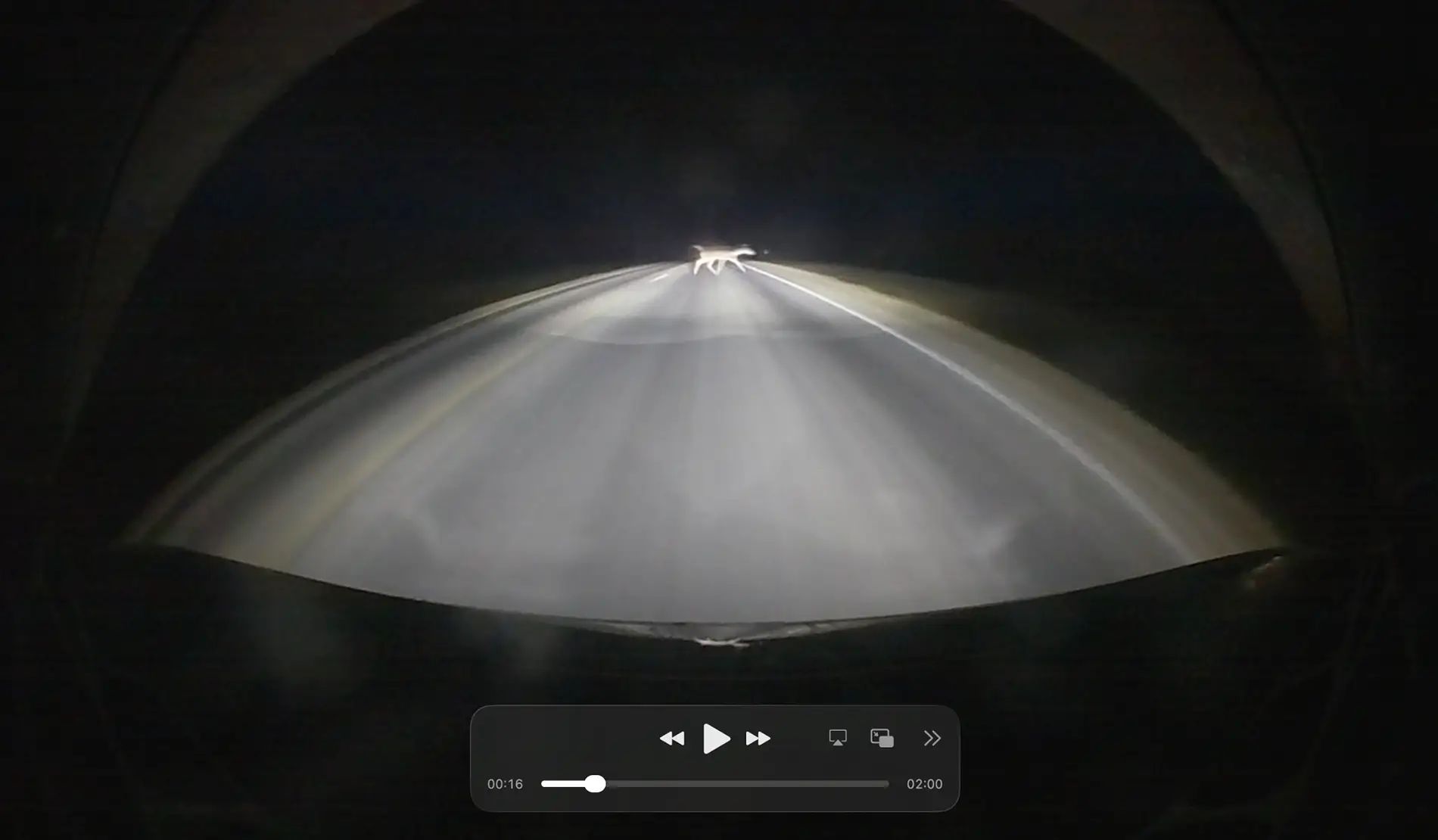 Rivian R1T R1S Near Miss With a Deer 1767761318839-sl