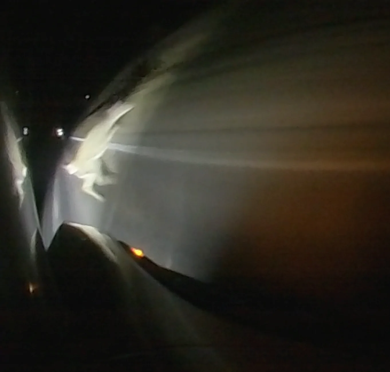 Rivian R1T R1S Near Miss With a Deer 1767761365701-3h