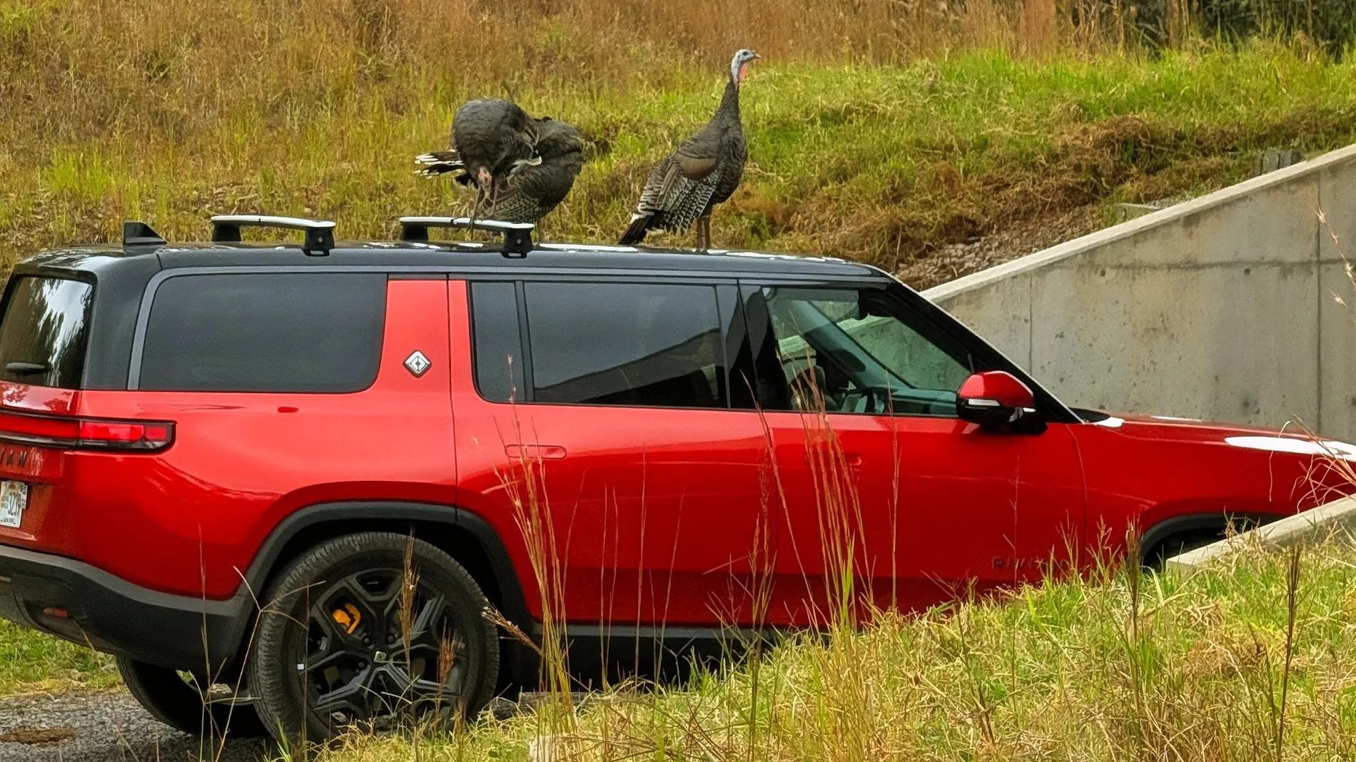 Rivian R1T R1S How long do you plan to keep your current Rivian? PXL_20251009_000429156~2