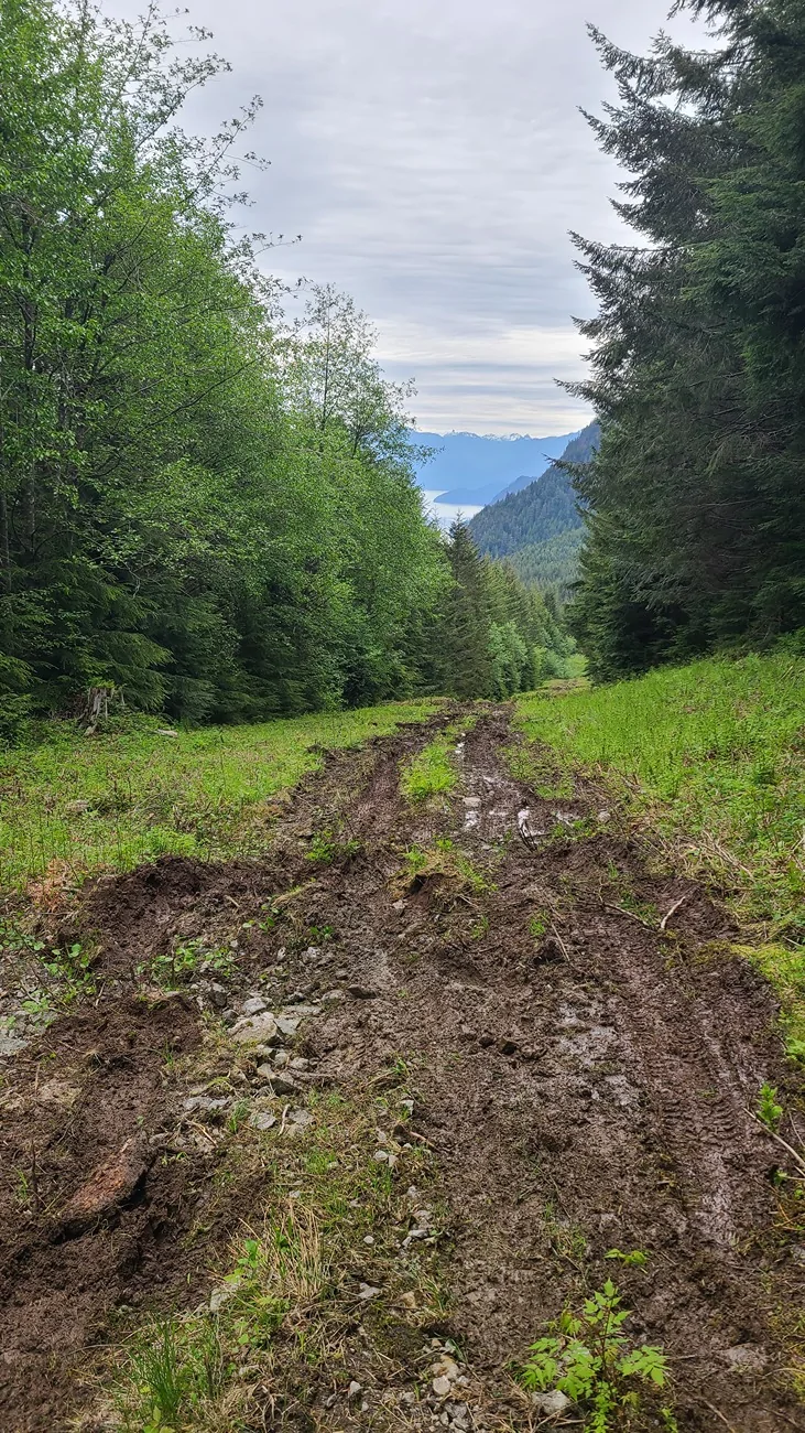 Rivian R1T R1S Community interest in taking your Rivian Off-Road. 20250530_094048