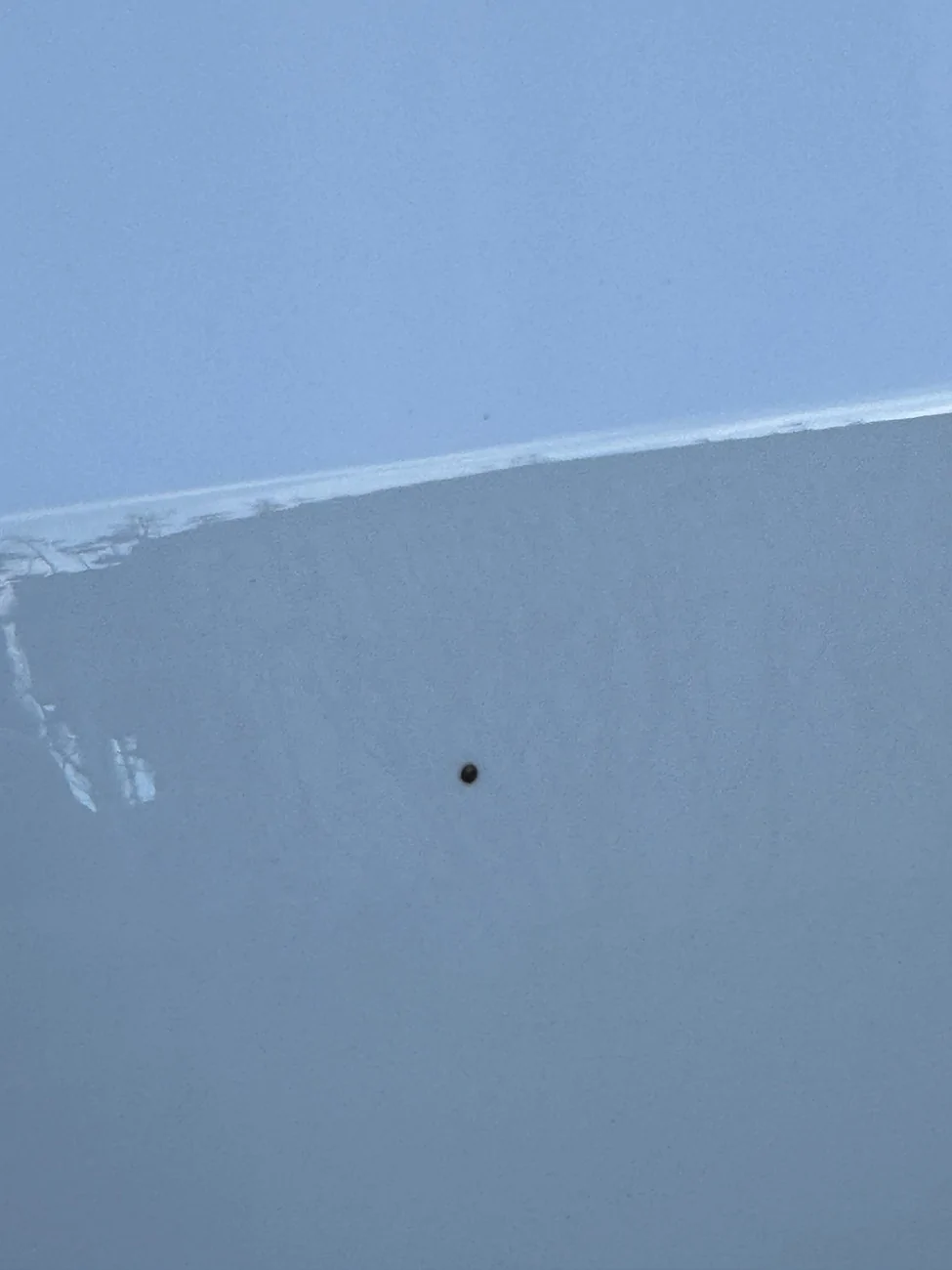 Rivian R1T R1S What are these black spots? IMG_4793