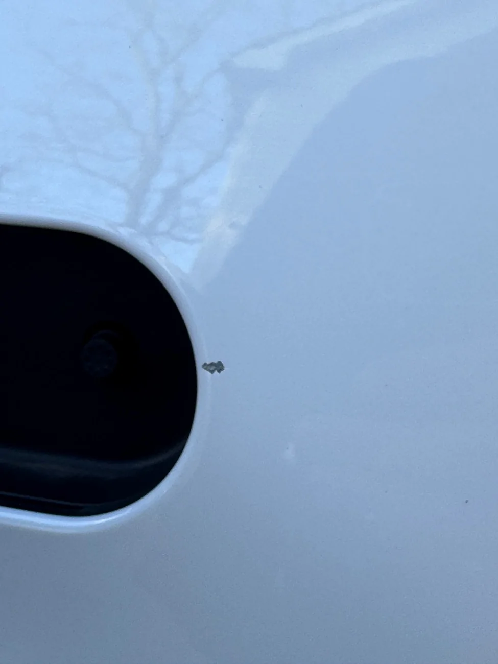 Rivian R1T R1S What are these black spots? IMG_4788