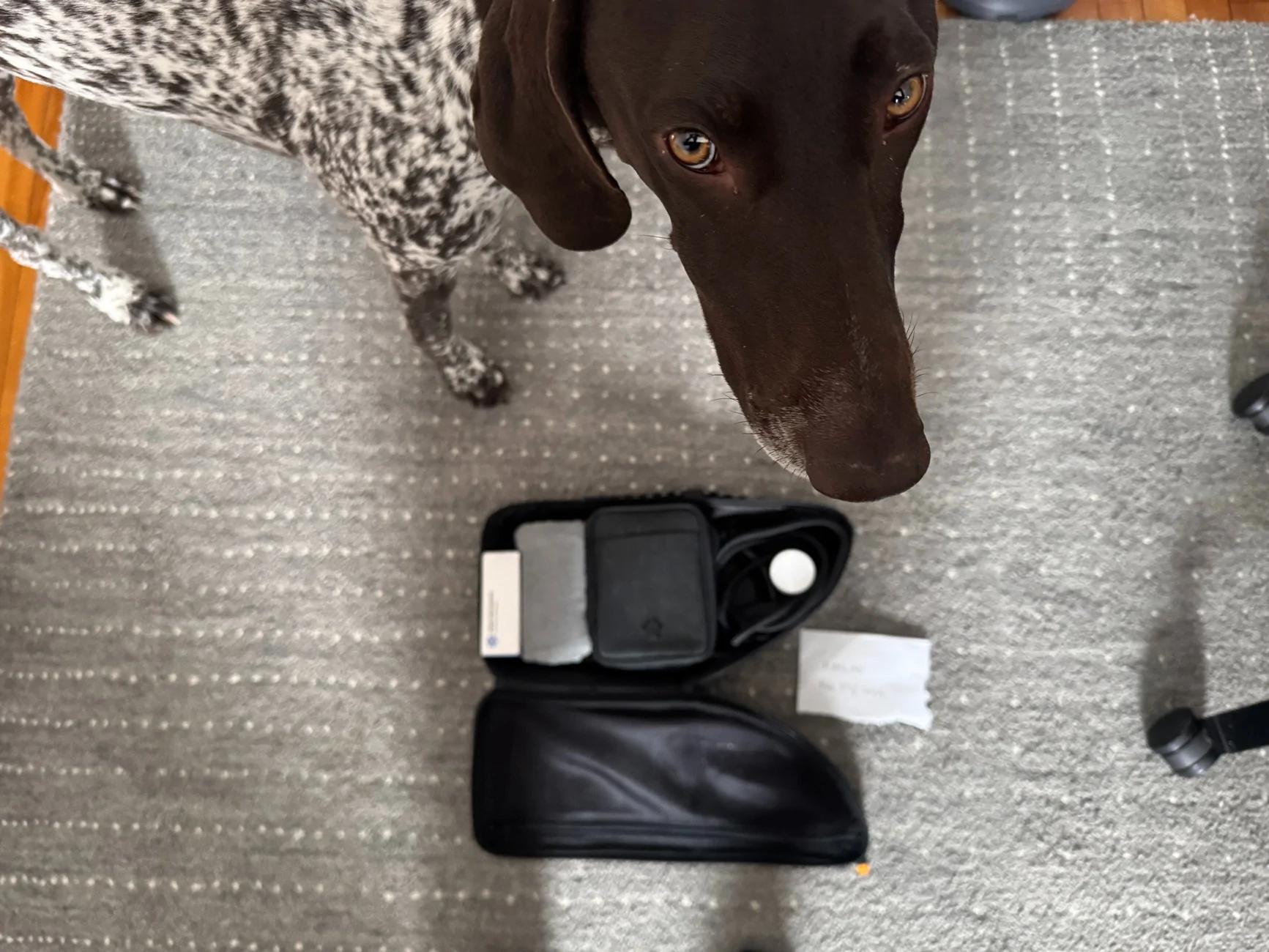 Rivian R1T R1S R1S Pet Field Kit - $85 IMG_9936