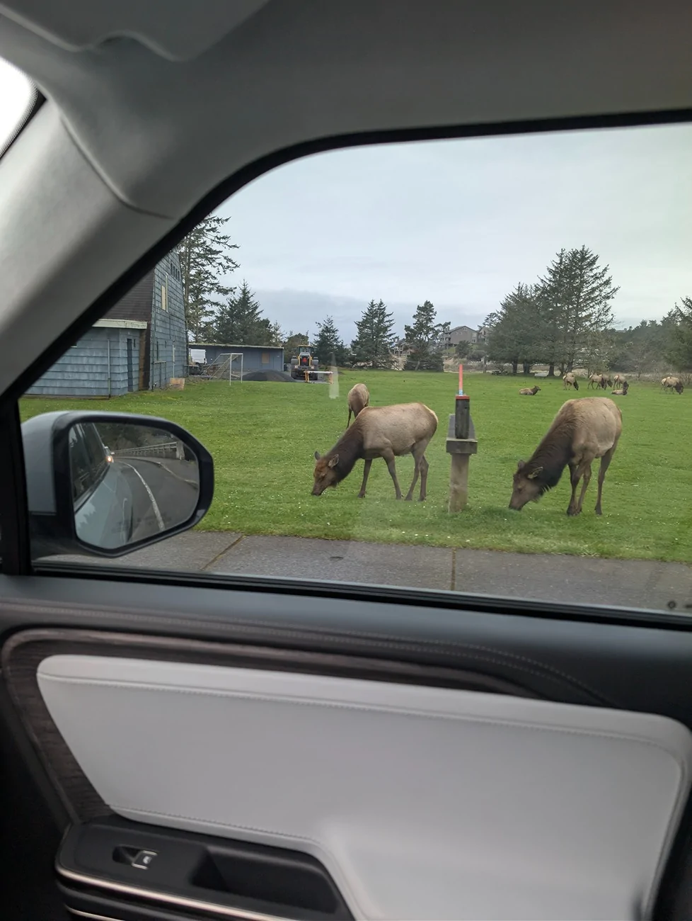 Rivian R1T R1S Looking for places to visit on Oregon Coast Cannon Beach