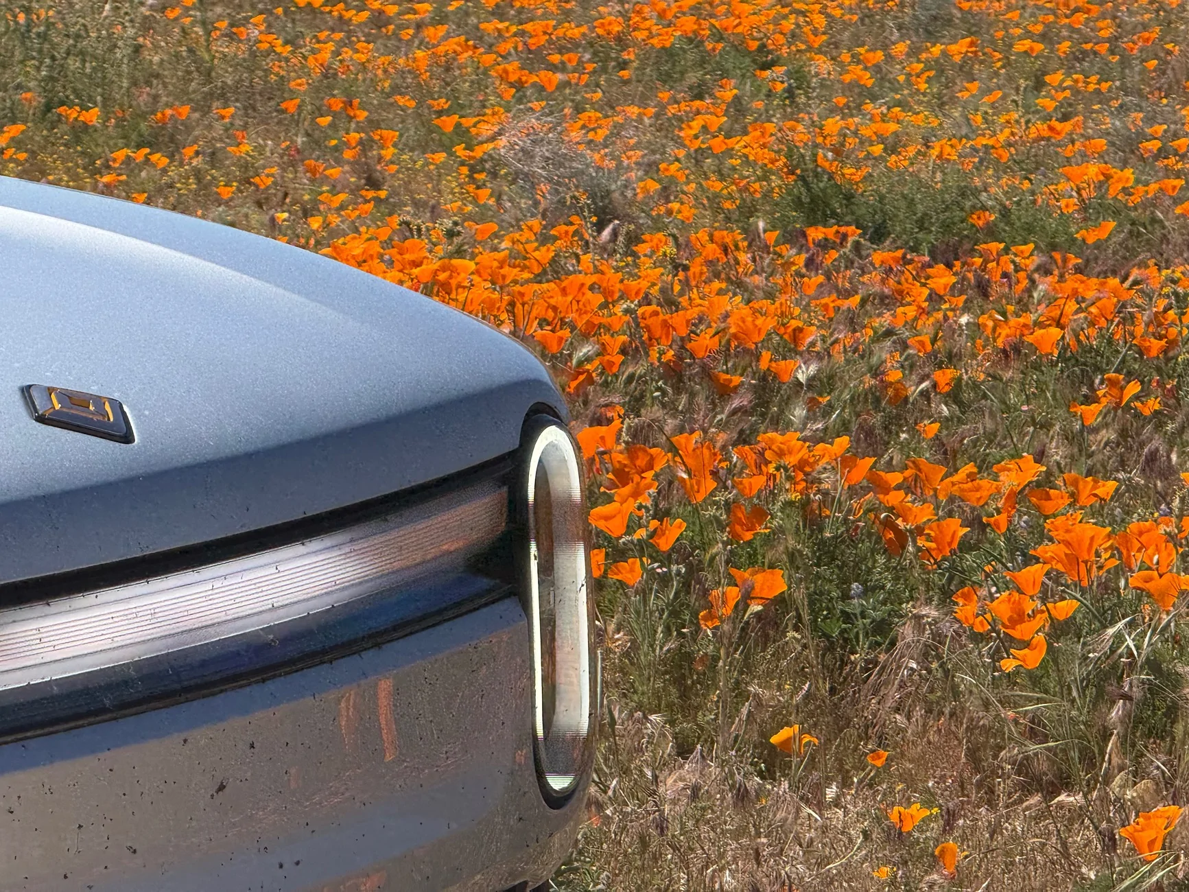 Rivian R1T R1S Random Rivian Photos of the Day - Post Yours! 📸 IMG_1586