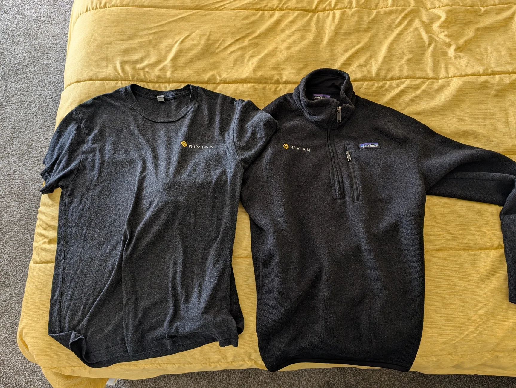 Rivian R1T R1S [Local Pickup Western PA] - Rivian Patagonia Jacket and T-shirt for sale $100 OBO PXL_20260329_190217521
