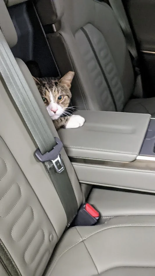 Rivian R1T R1S How to open up the rear seat floor vents? 1776798886946-2j