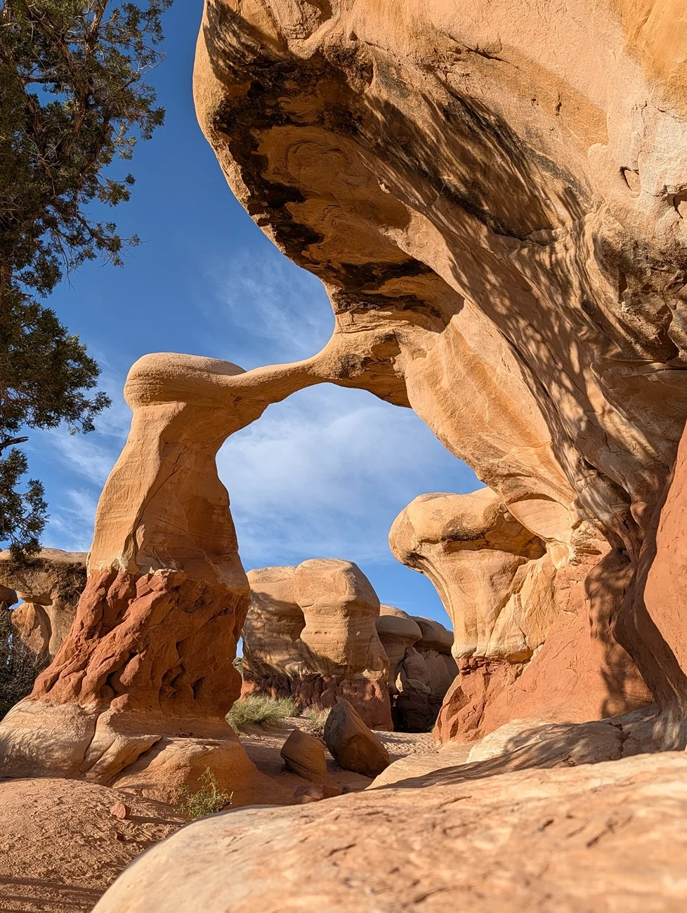 Rivian R1T R1S Getting remote - Escalante Grand Stair Case Trip With R1T PXL_20260422_005759734