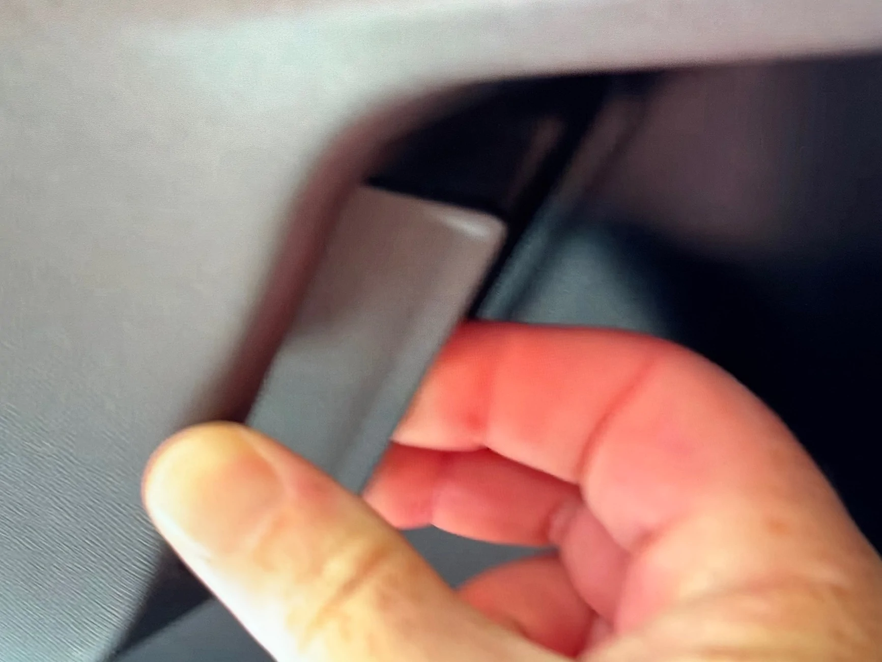 Rivian R1T R1S R2 Manual Releases on All Interior Doors, But… IMG_3846