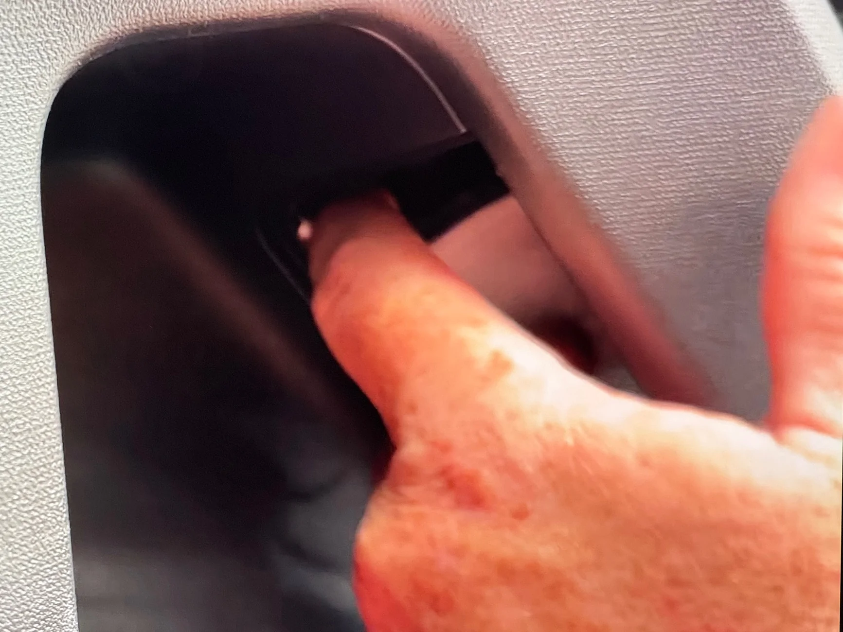Rivian R1T R1S R2 Manual Releases on All Interior Doors, But… IMG_3851