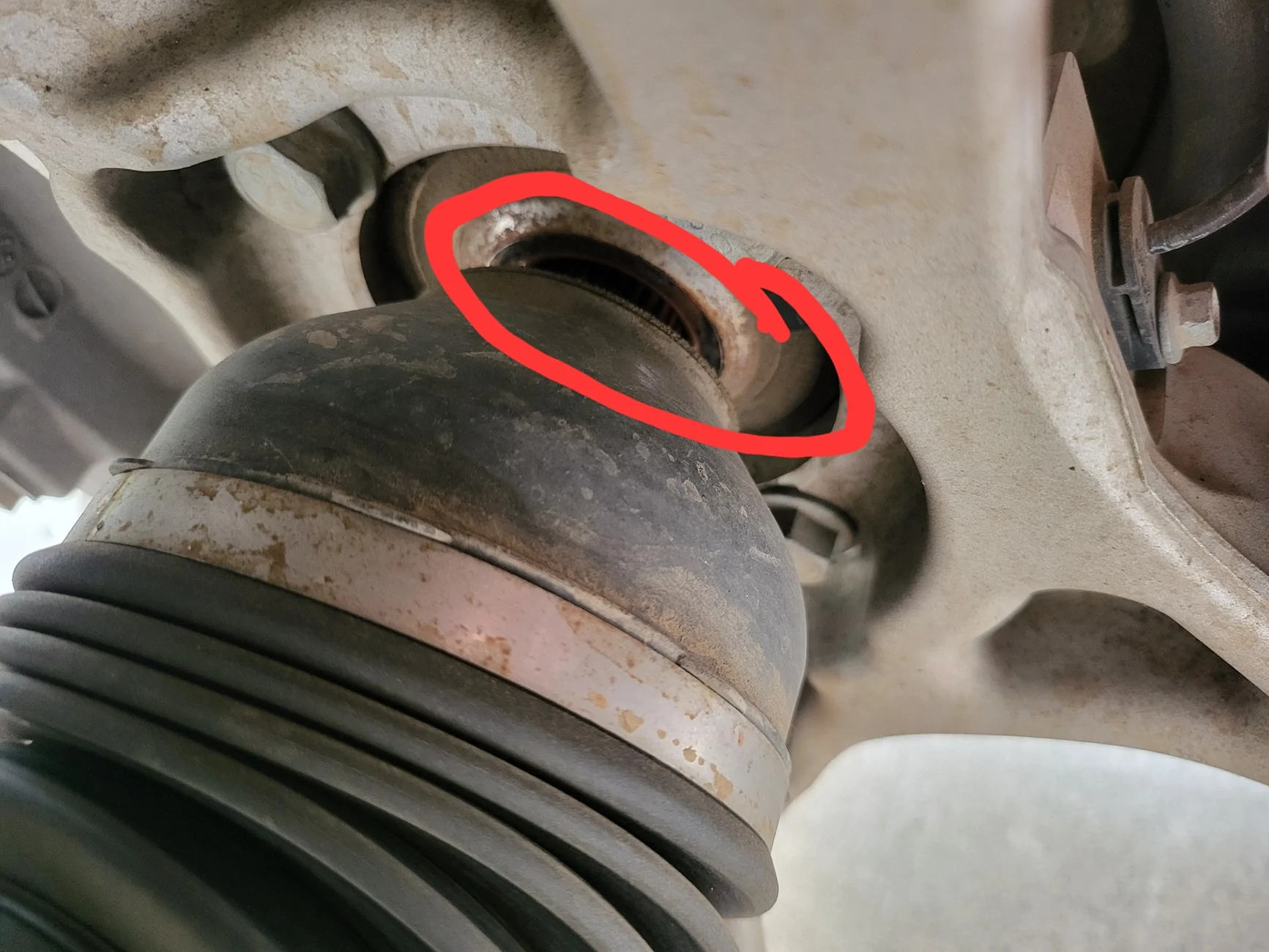 Rivian R1T R1S Half-Shaft issue thread Grease area 2025-09-21 14.13.18-1