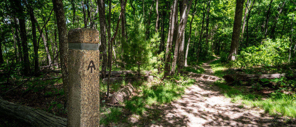 Rivian R1T R1S Indianapolis to Maine road trip (via Philly and Boston) - 2200 miles 55331373453_a124c1c072_b