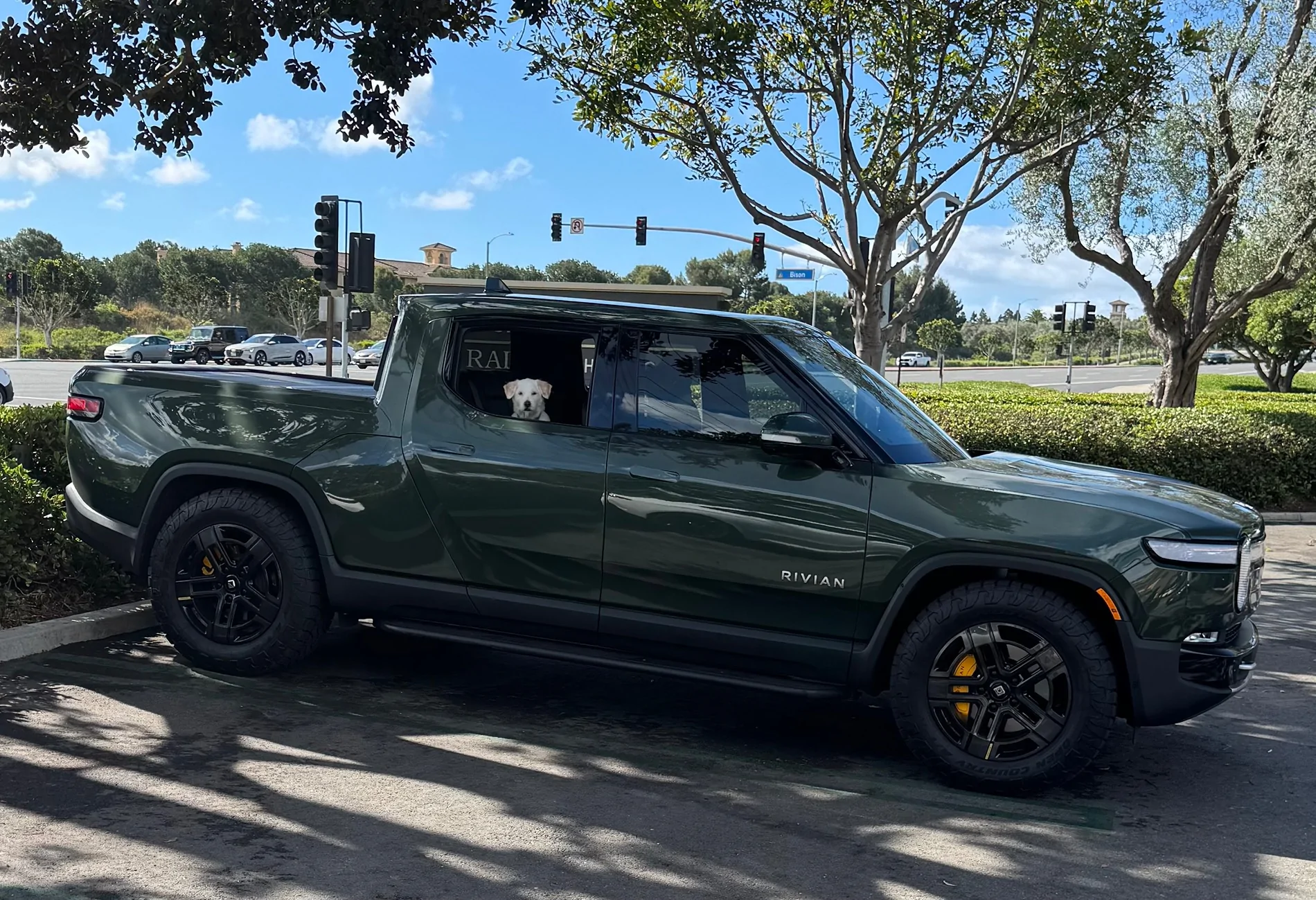 Rivian R1T R1S Those of you with Forest Green R1's IMG_3946