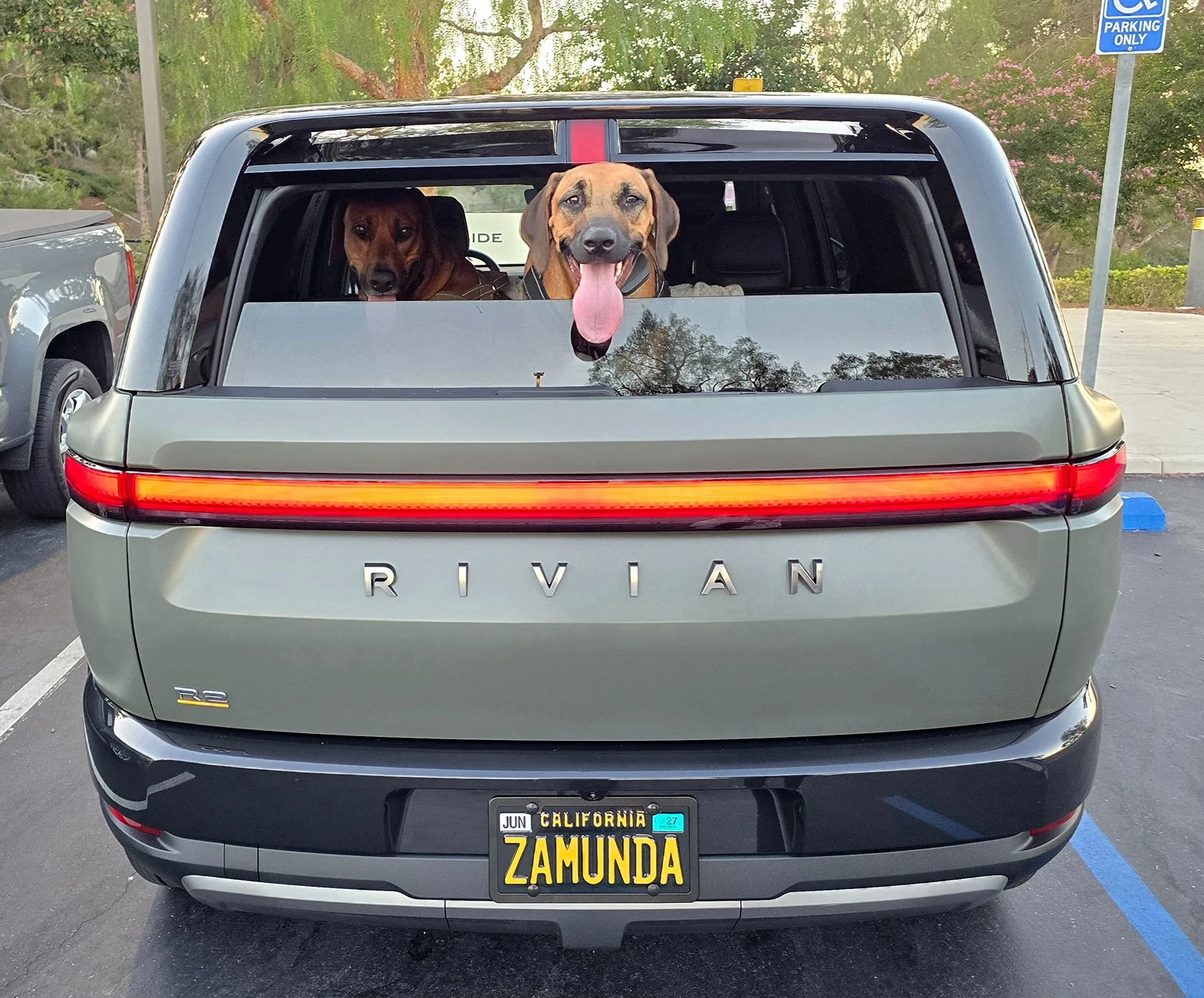 Rivian R1T R1S My R2 Delivered (VIN 0686) - First Stealth PPF - Launch Green 20260619_195220(1)