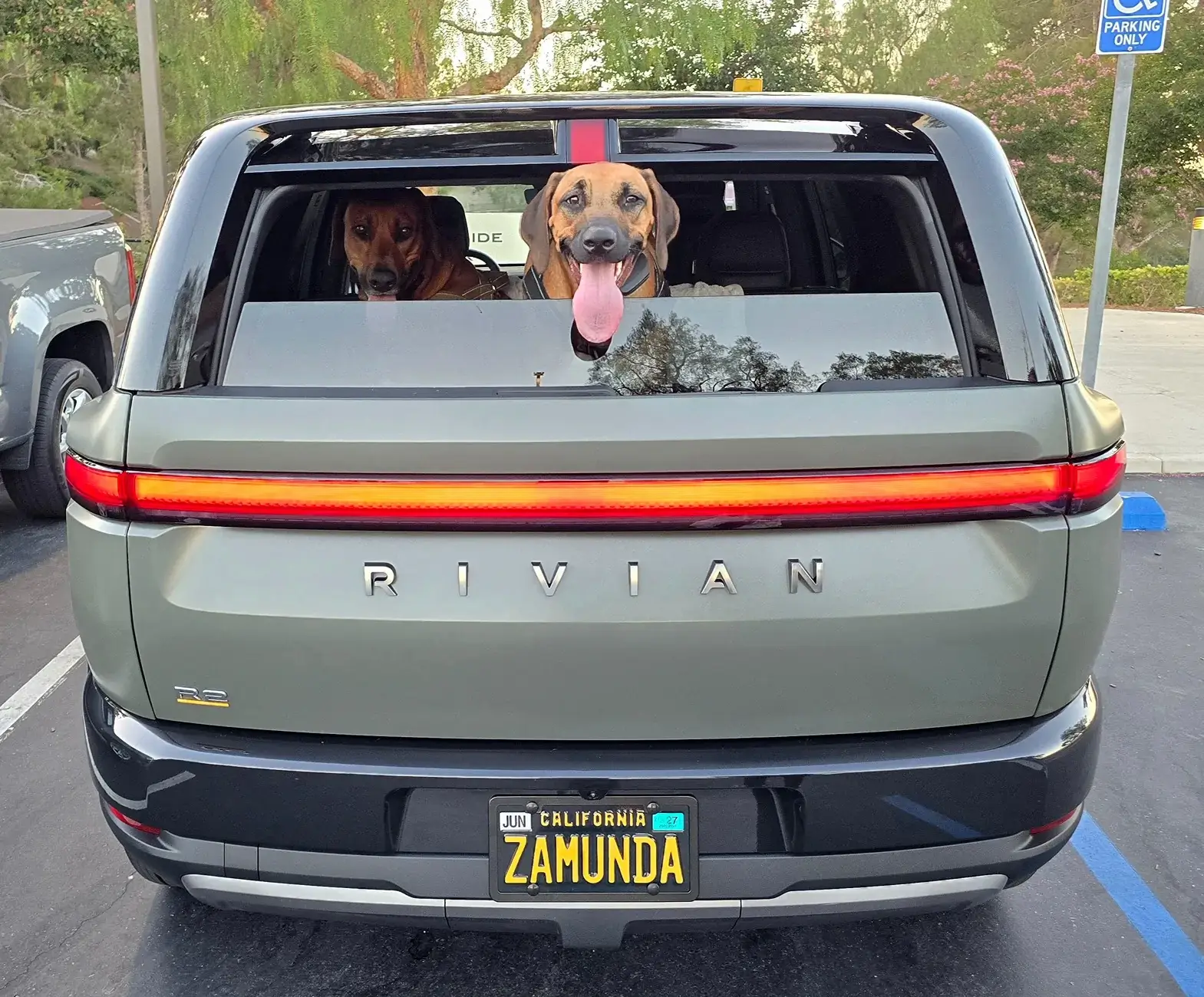Rivian R1T R1S My R2 Delivered (VIN 0686) - First Stealth PPF - Launch Green 1782021526822-eh