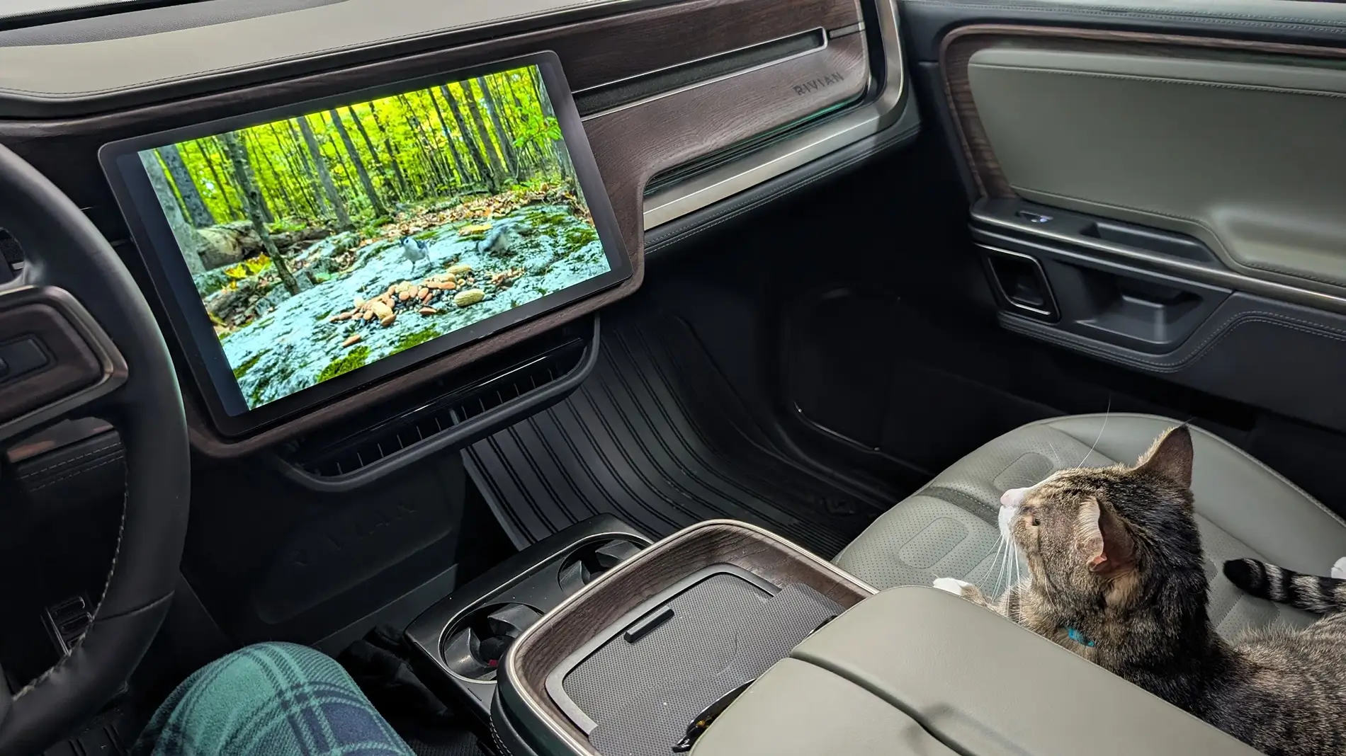 Rivian R1T R1S Those of you with Forest Green R1's 1782149815867-42