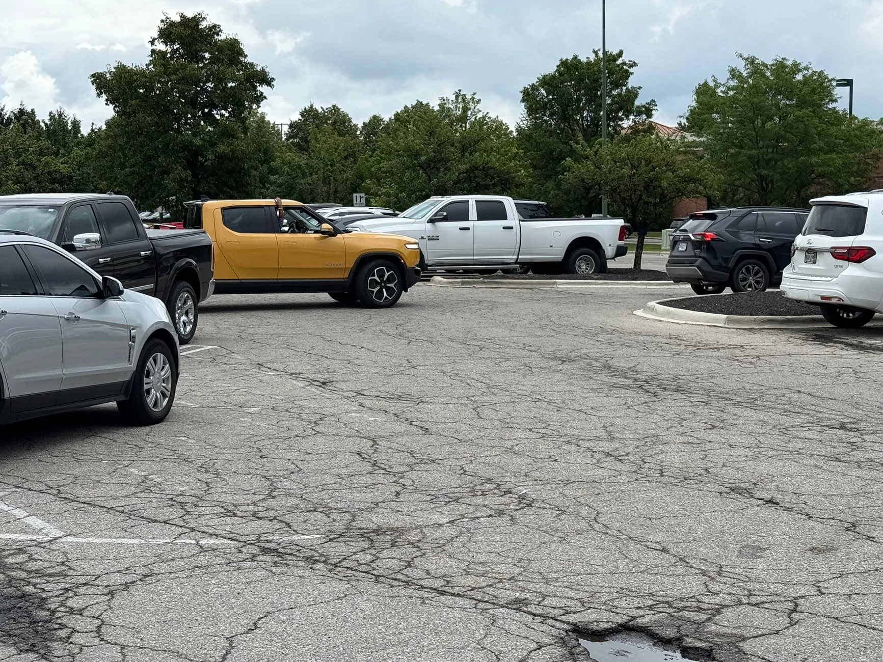 Rivian R1T R1S A Rare & Elusive Creature, I Mean Vehicle, Spotted in the Wild! 🧭💛 IMG_4398