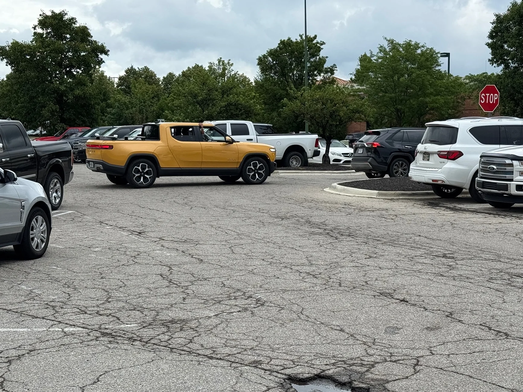 Rivian R1T R1S A Rare & Elusive Creature, I Mean Vehicle, Spotted in the Wild! 🧭💛 IMG_4399